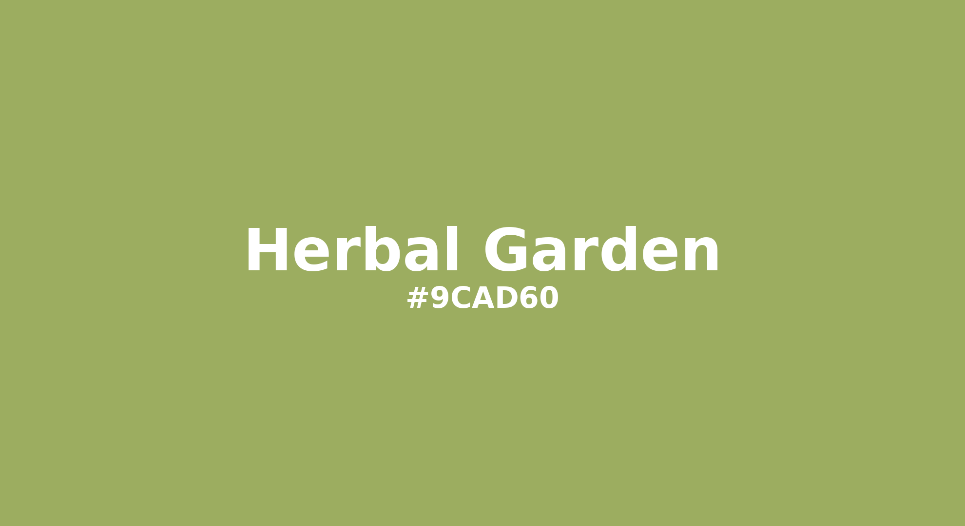 Discover the beautiful color name "Herbal Garden" for Pantone 15-0336 Tcx Herbal Garden Color | Hex color Code #9cad60. Perfect color naming reference for designers and developers. #colorname #colortheory #design #9cad60