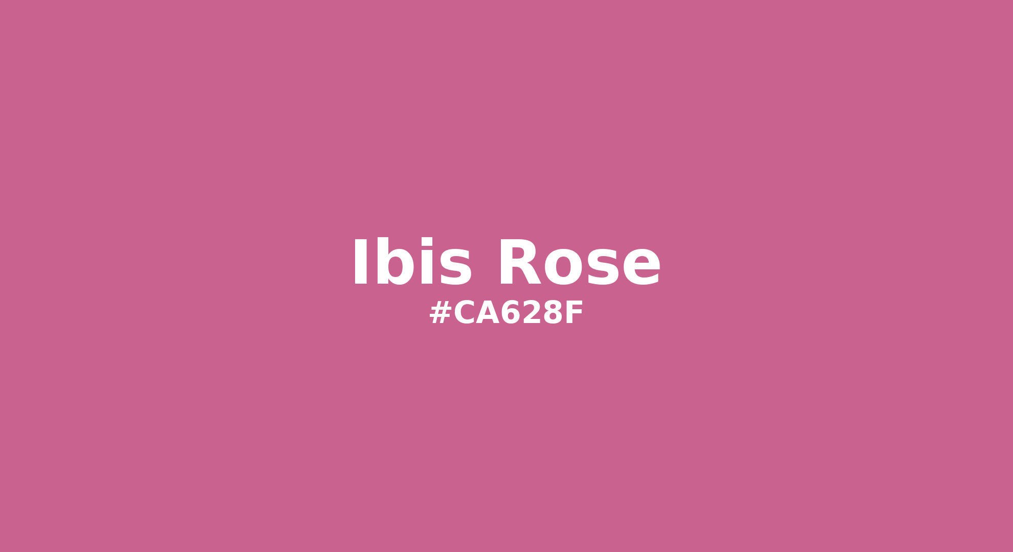 Discover the beautiful color name "Ibis Rose" for Pantone 17-2520 Tcx Ibis Rose Color | Hex color Code #ca628f. Perfect color naming reference for designers and developers. #colorname #colortheory #design #ca628f