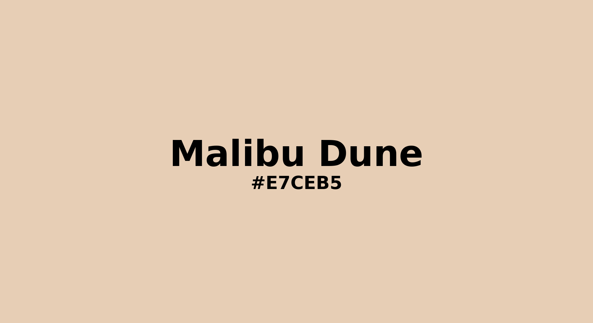 Discover the beautiful color name "Malibu Dune" for Pantone 2309 C Color | Hex color Code #e7ceb5. Perfect color naming reference for designers and developers. #colorname #colortheory #design #e7ceb5