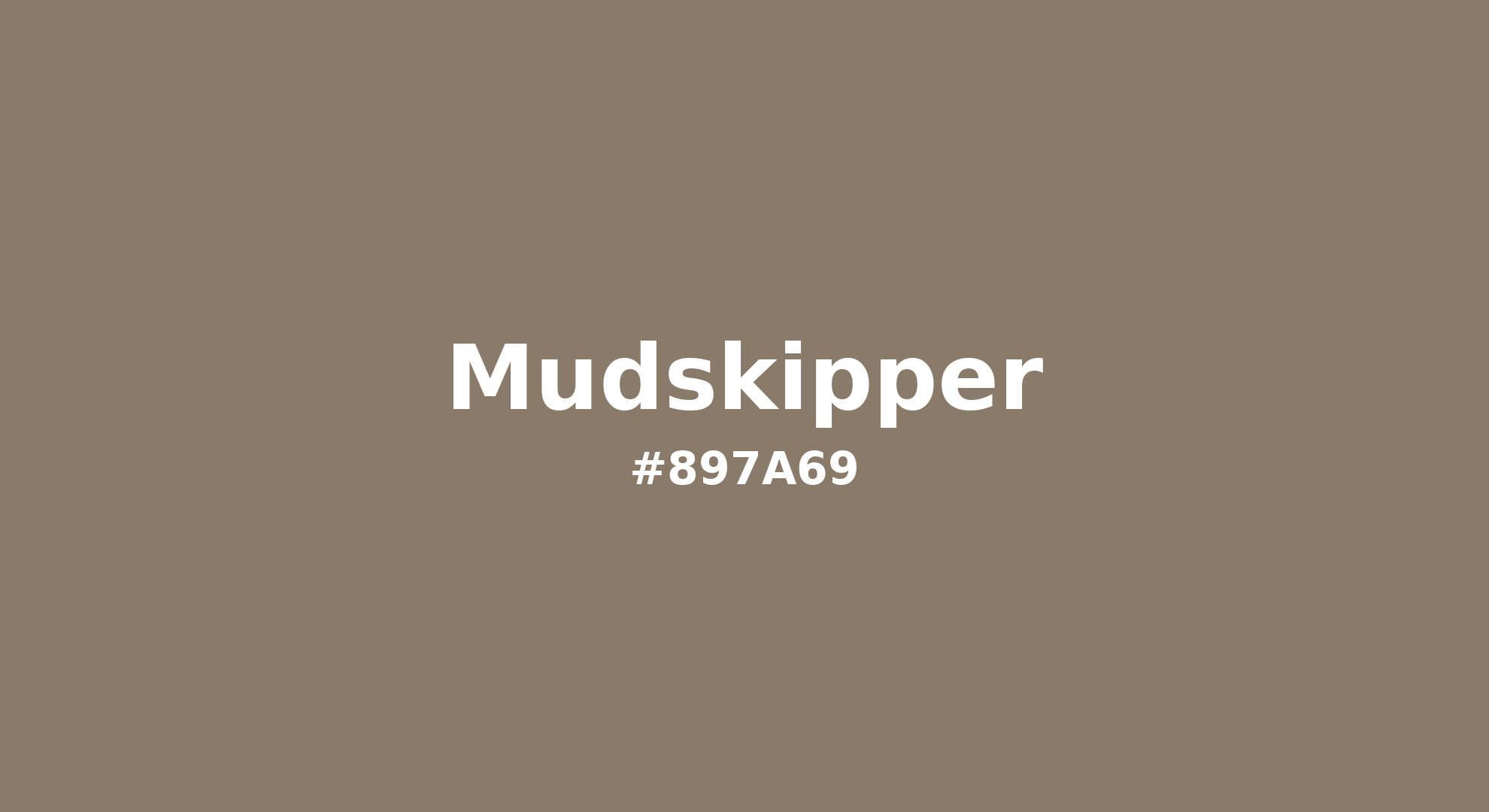 Discover the beautiful color name "Mudskipper" for Pantone 8004 C Color | Hex color Code #897a69. Perfect color naming reference for designers and developers. #colorname #colortheory #design #897a69