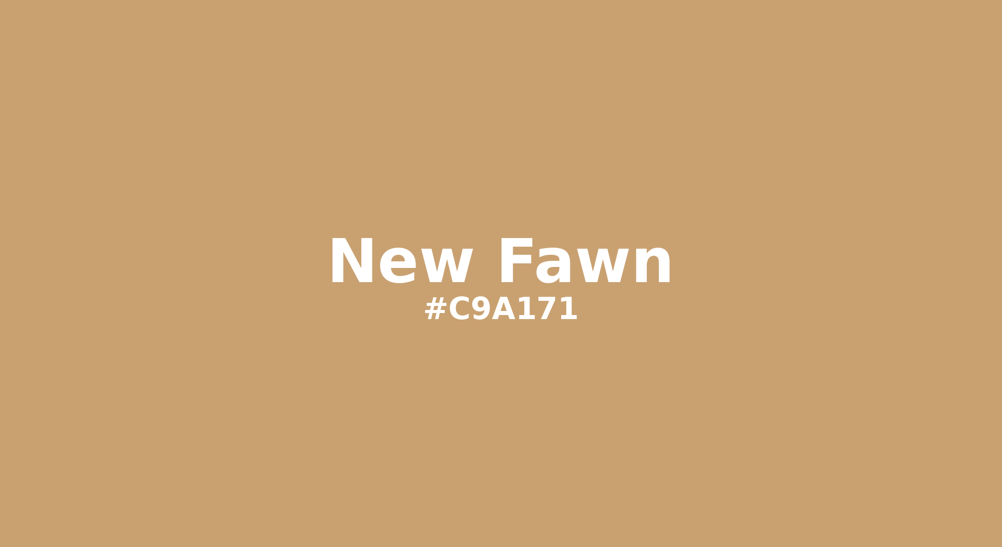 New Fawn Color | c9a171 | Color conversion CMYK | Hsl | Rgb