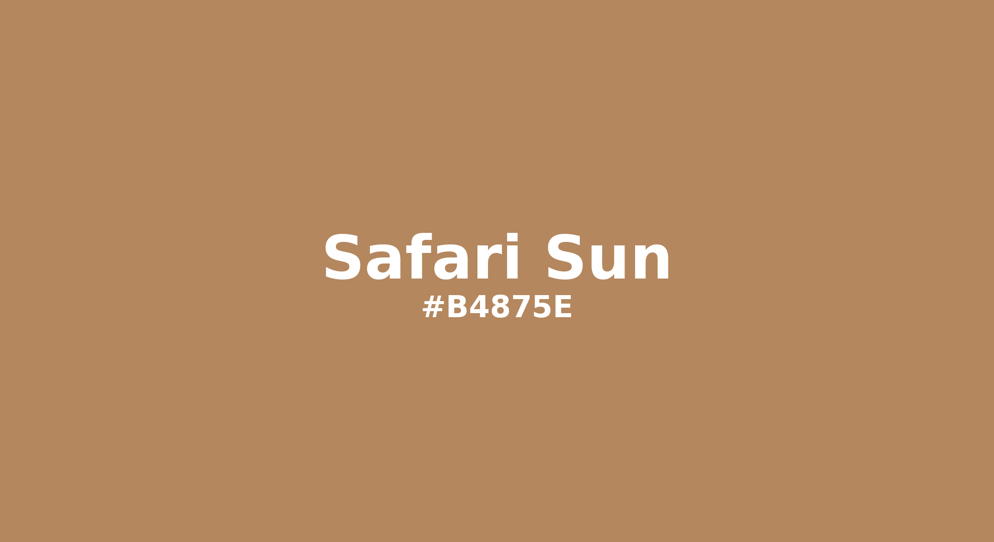 Discover the beautiful color name "Safari Sun" for Pantone 2317 C Color | Hex color Code #b4875e. Perfect color naming reference for designers and developers. #colorname #colortheory #design #b4875e