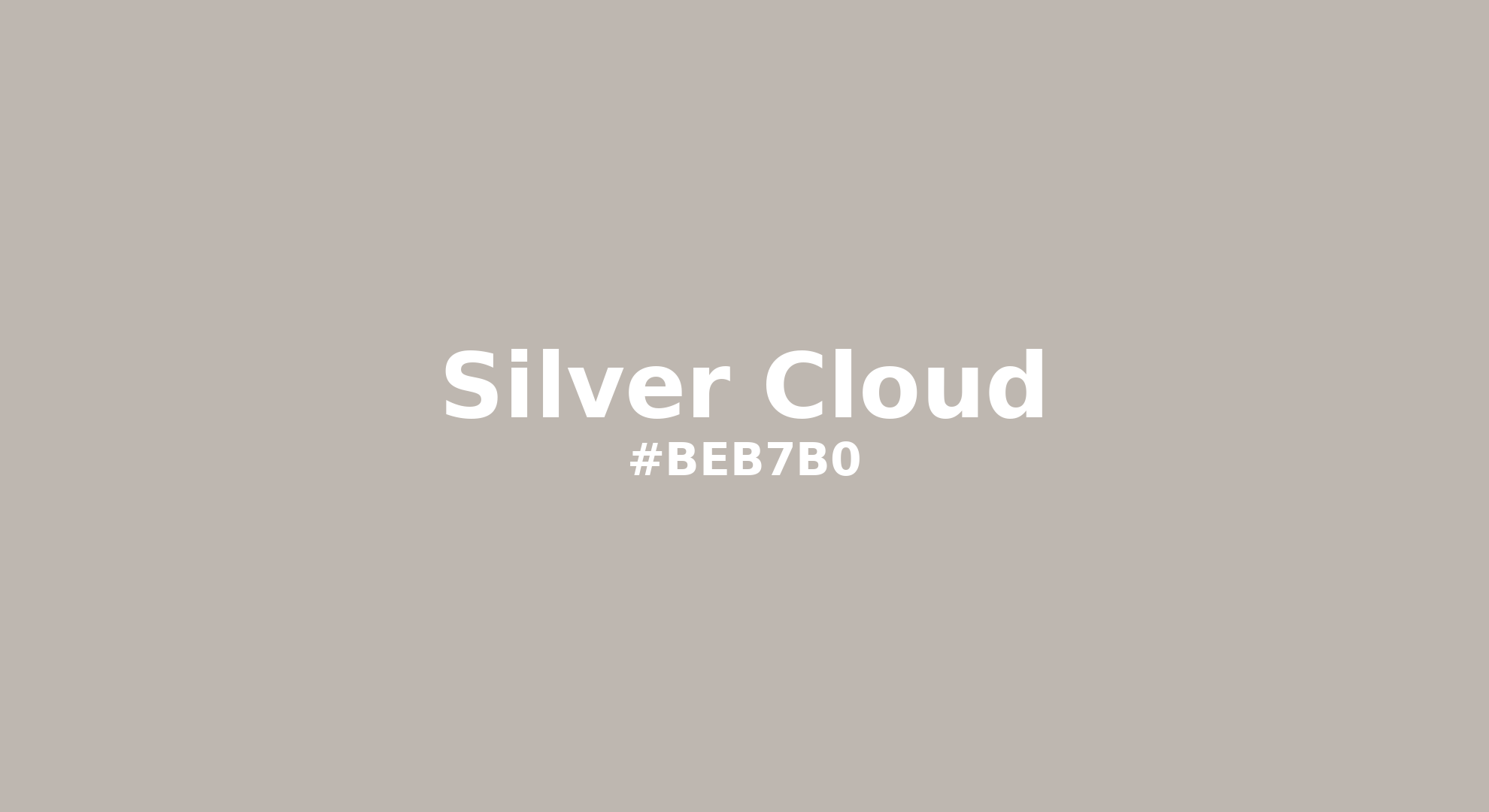 Discover the beautiful color name "Silver Cloud" for Pantone 15-4502 Tcx Silver Cloud Color | Hex color Code #beb7b0. Perfect color naming reference for designers and developers. #colorname #colortheory #design #beb7b0