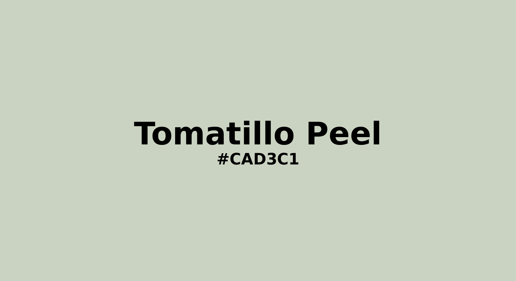 Discover the beautiful color name "Tomatillo Peel" for Pantone 13-6006 Tcx Almost Aqua Color | Hex color Code #cad3c1. Perfect color naming reference for designers and developers. #colorname #colortheory #design #cad3c1