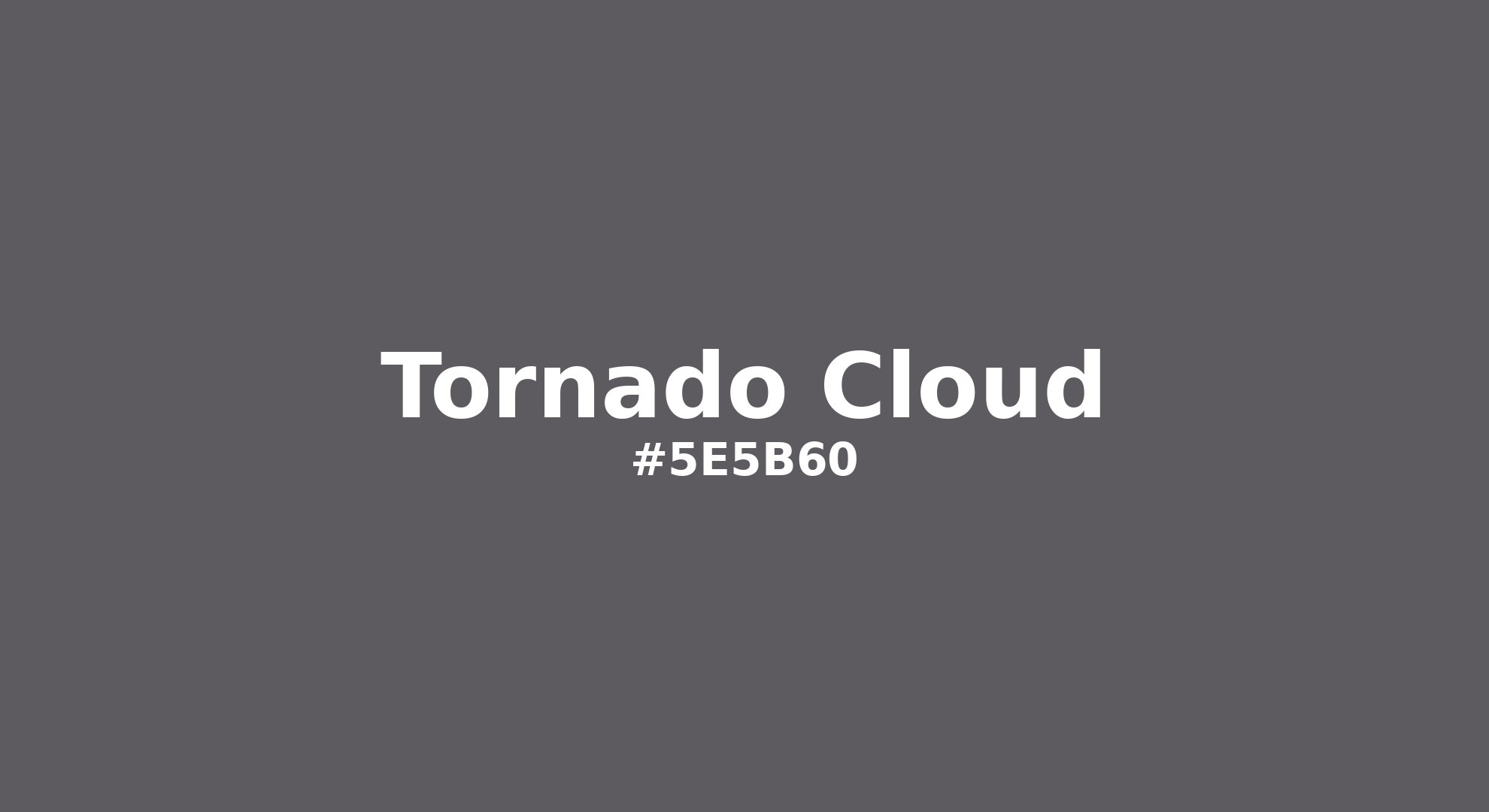 Discover the beautiful color name "Tornado Cloud" for Pantone 18-3907 Tcx Tornado Color | Hex color Code #5e5b60. Perfect color naming reference for designers and developers. #colorname #colortheory #design #5e5b60