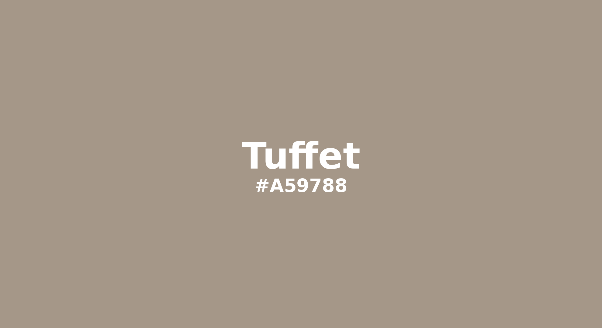 Discover the beautiful color name "Tuffet" for Pantone 16-1106 Tcx Tuffet Color | Hex color Code #a59788. Perfect color naming reference for designers and developers. #colorname #colortheory #design #a59788