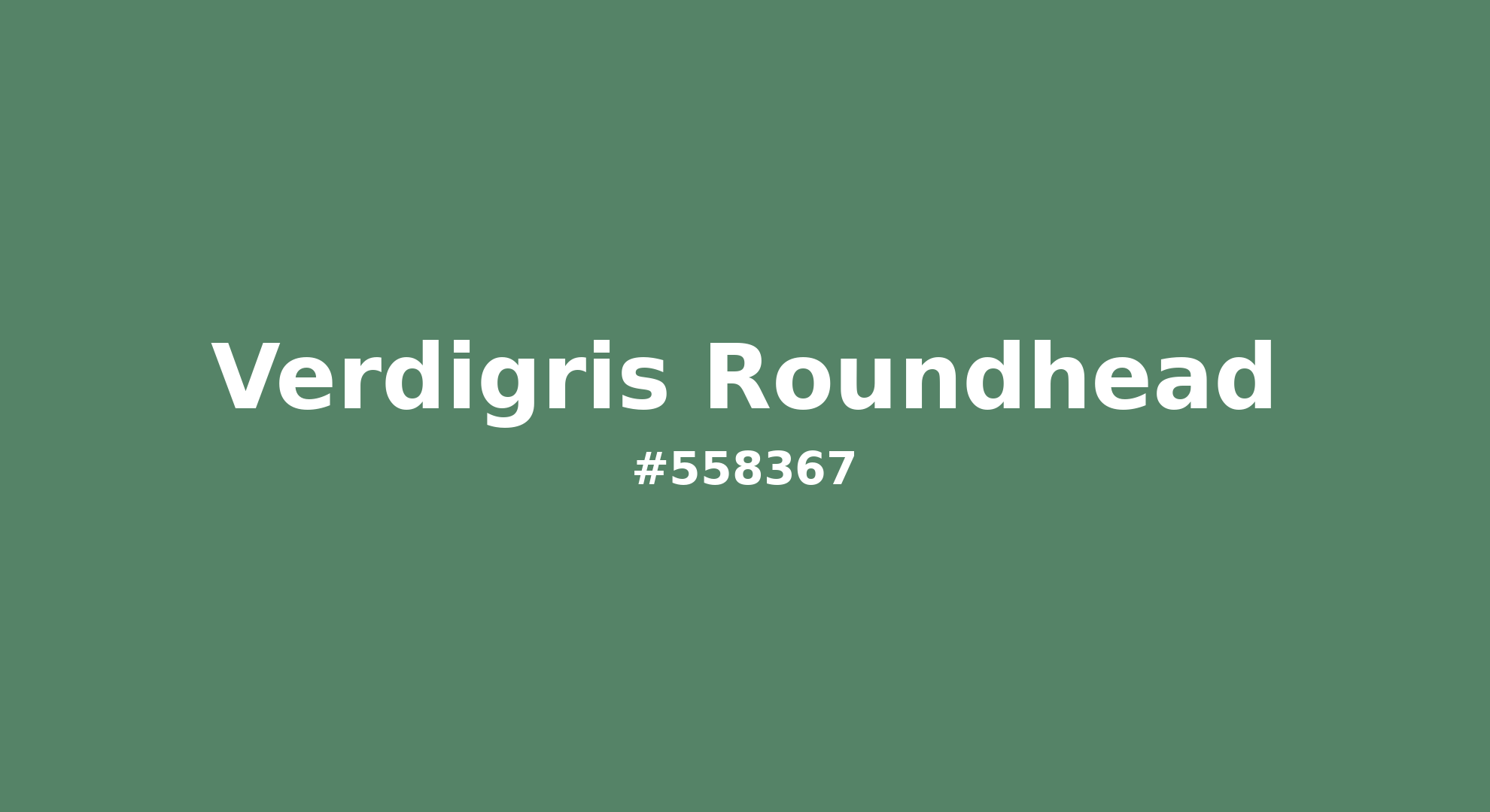 Discover the beautiful color name "Verdigris Roundhead" for Pantone 17-6219 Tcx Deep Grass Green Color | Hex color Code #558367. Perfect color naming reference for designers and developers. #colorname #colortheory #design #558367