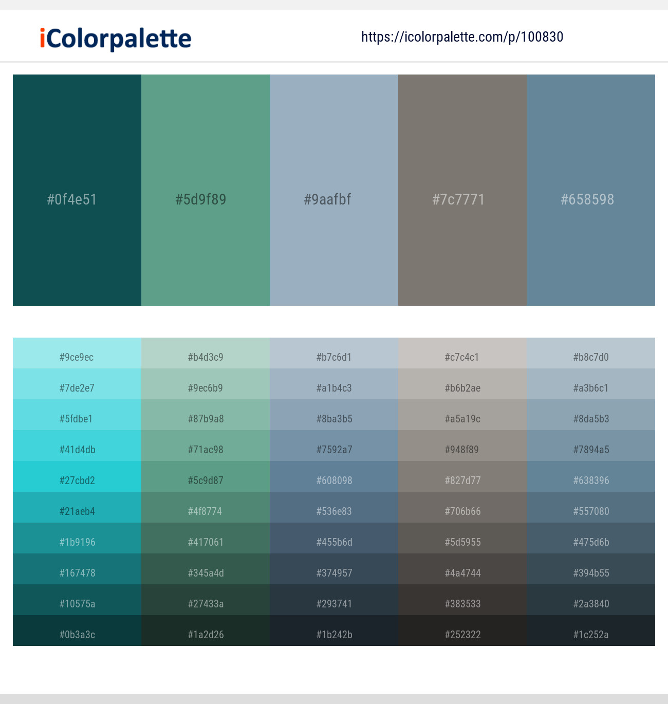 Eden – Patina – Gull Gray – Tapa – Hoki Color scheme