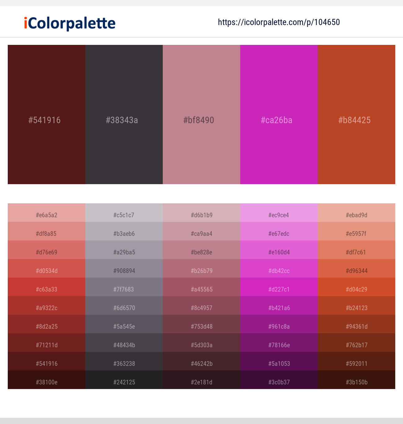 Espresso – Ship Gray – Old Rose – Cerise – Tall Poppy Color scheme