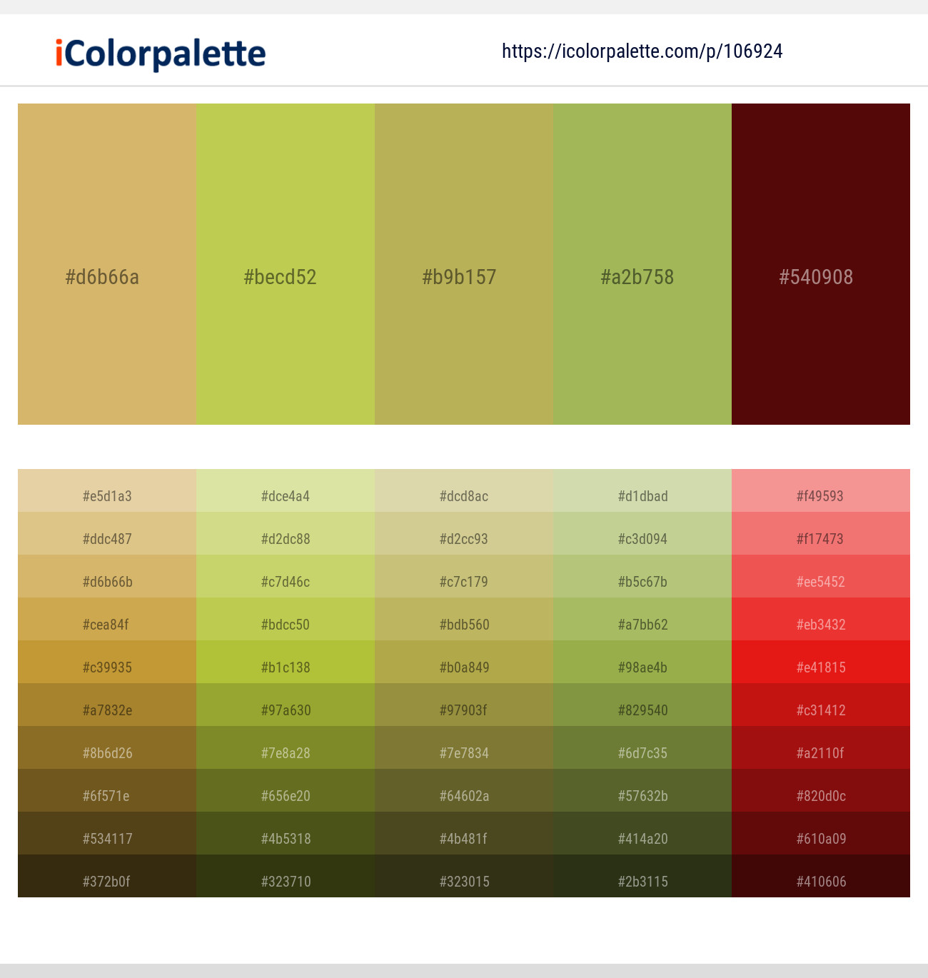 Tacha – Turmeric – Olive Green – Olive Green – Mahogany Color scheme