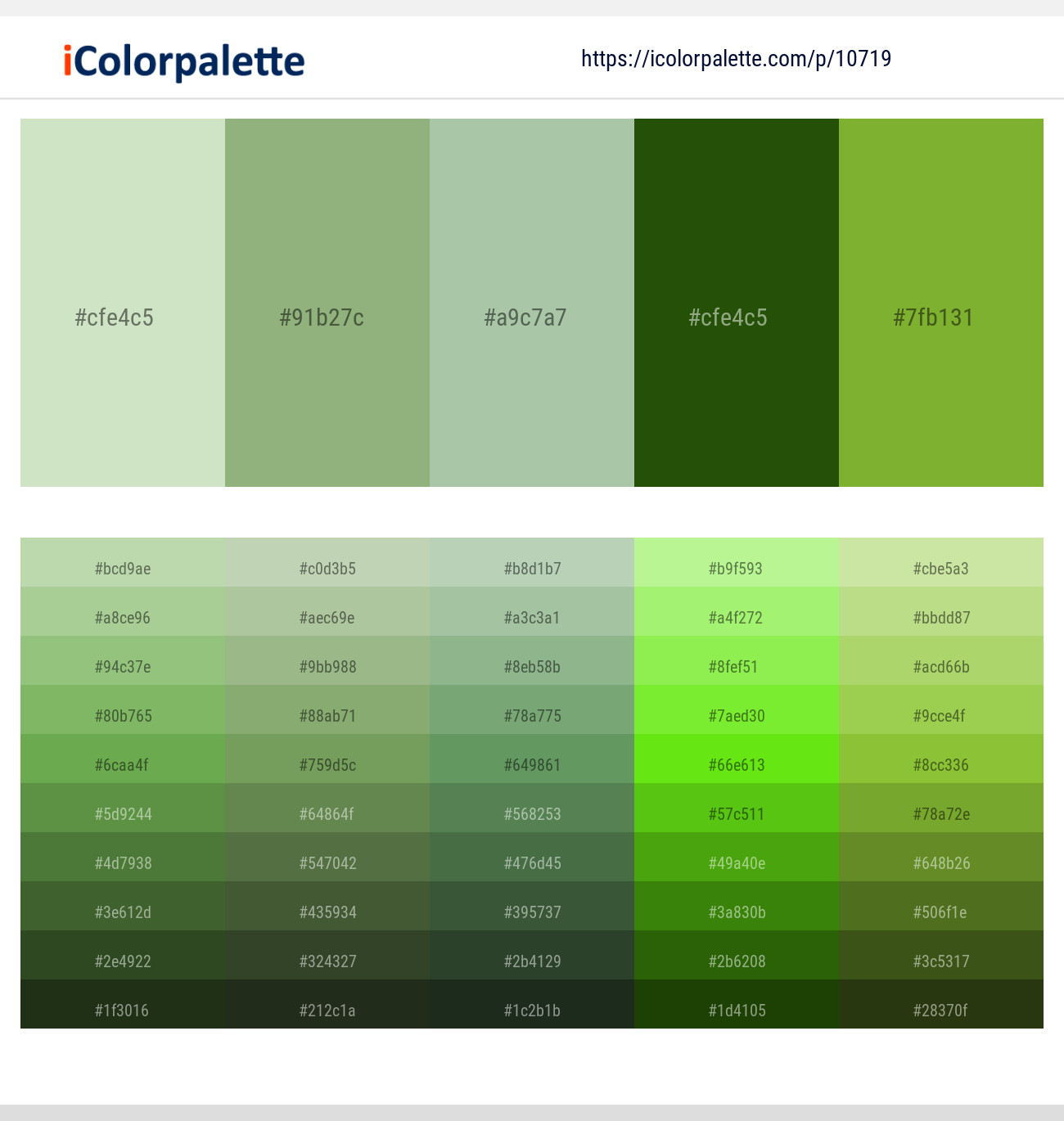 Zanah – Olivine – Spring Rain – San Felix – Sushi Color scheme