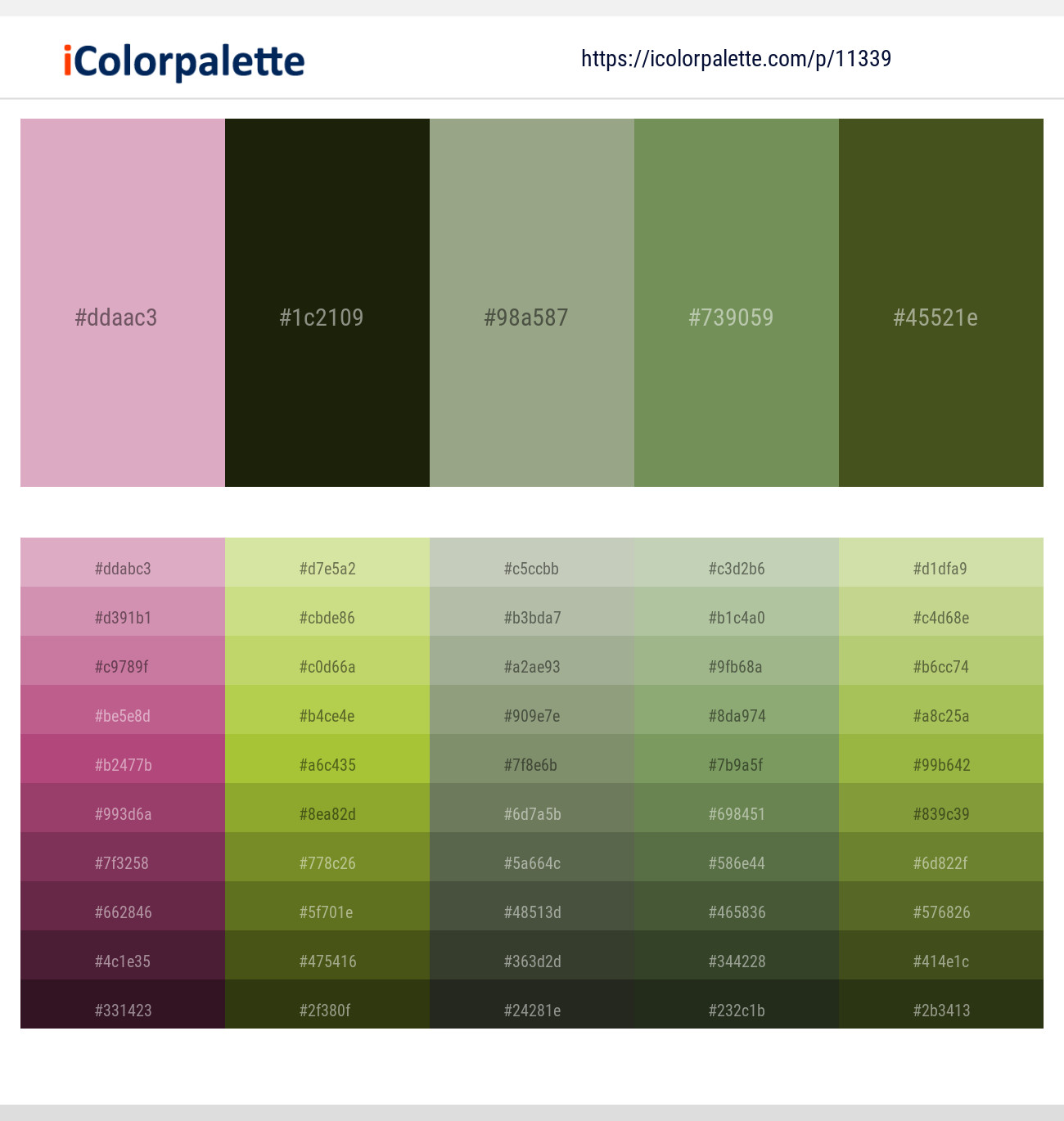 Blossom – Green Waterloo – Sage – Asparagus – Thatch Green Color scheme