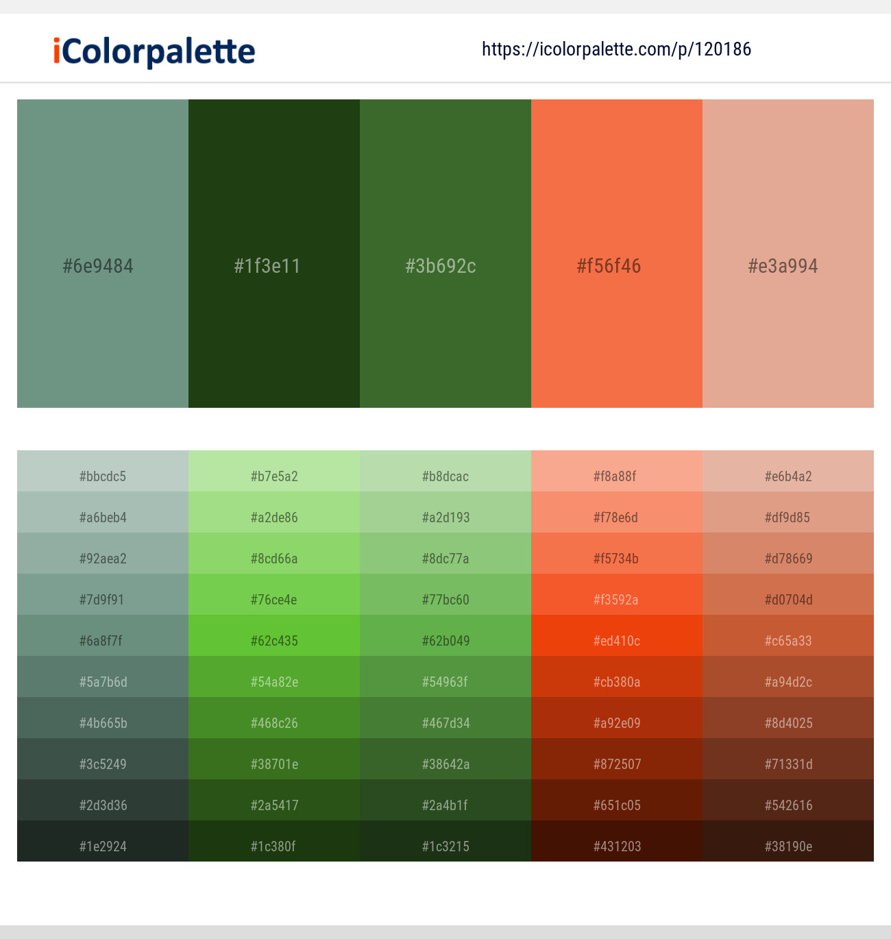 1 Latest Color Schemes with Palm Leaf And Tumbleweed Color tone ...