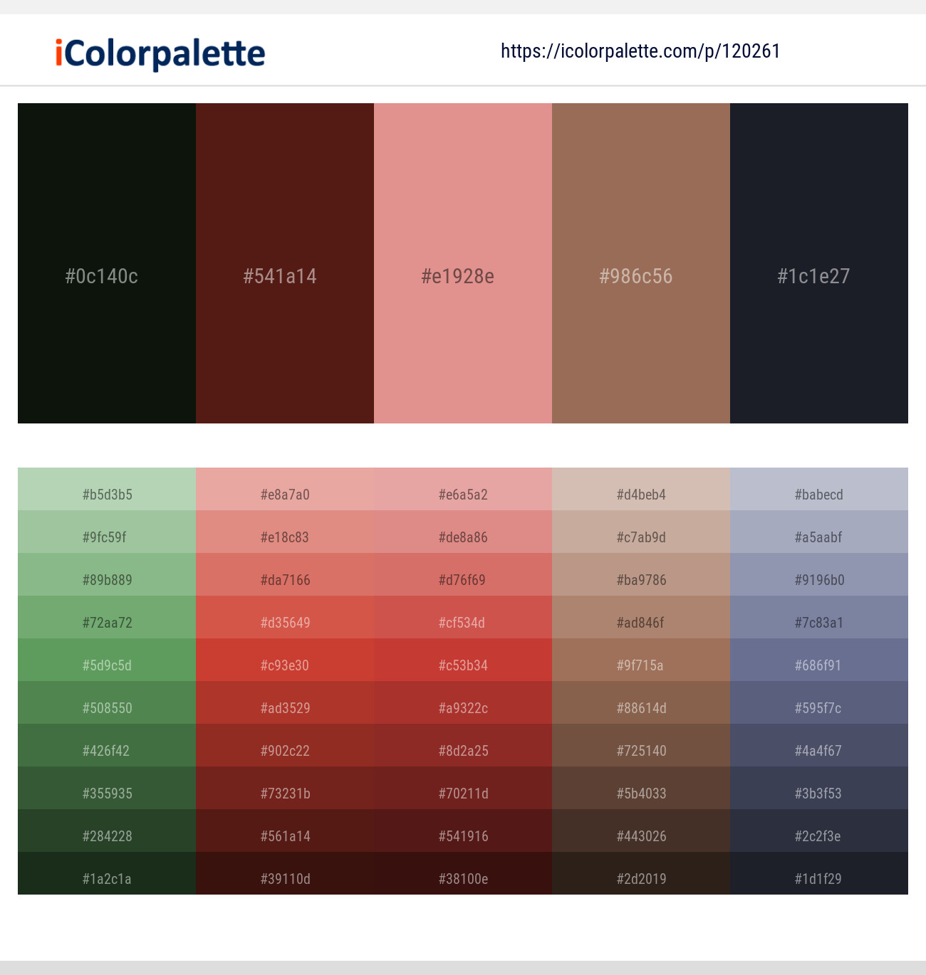 Marshland – Espresso – Petite Orchid – Leather – Shark Color scheme