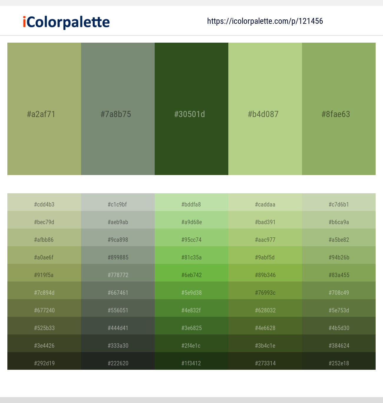 2 Latest Color Schemes with Camouflage Green And Seaweed Color tone  combinations, 2024