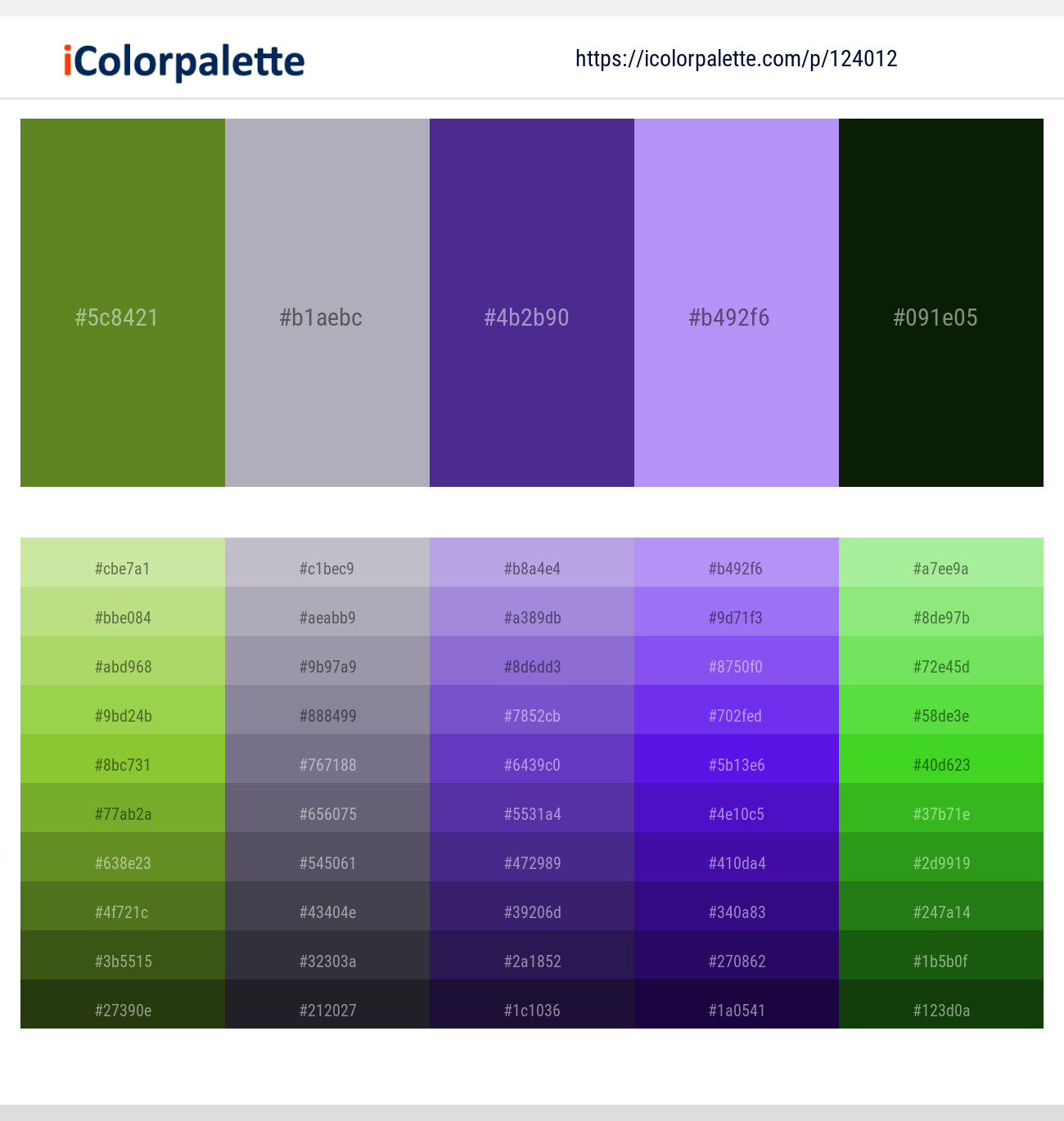 1 Latest Color Schemes With Daisy Bush And Black Forest Color Tone