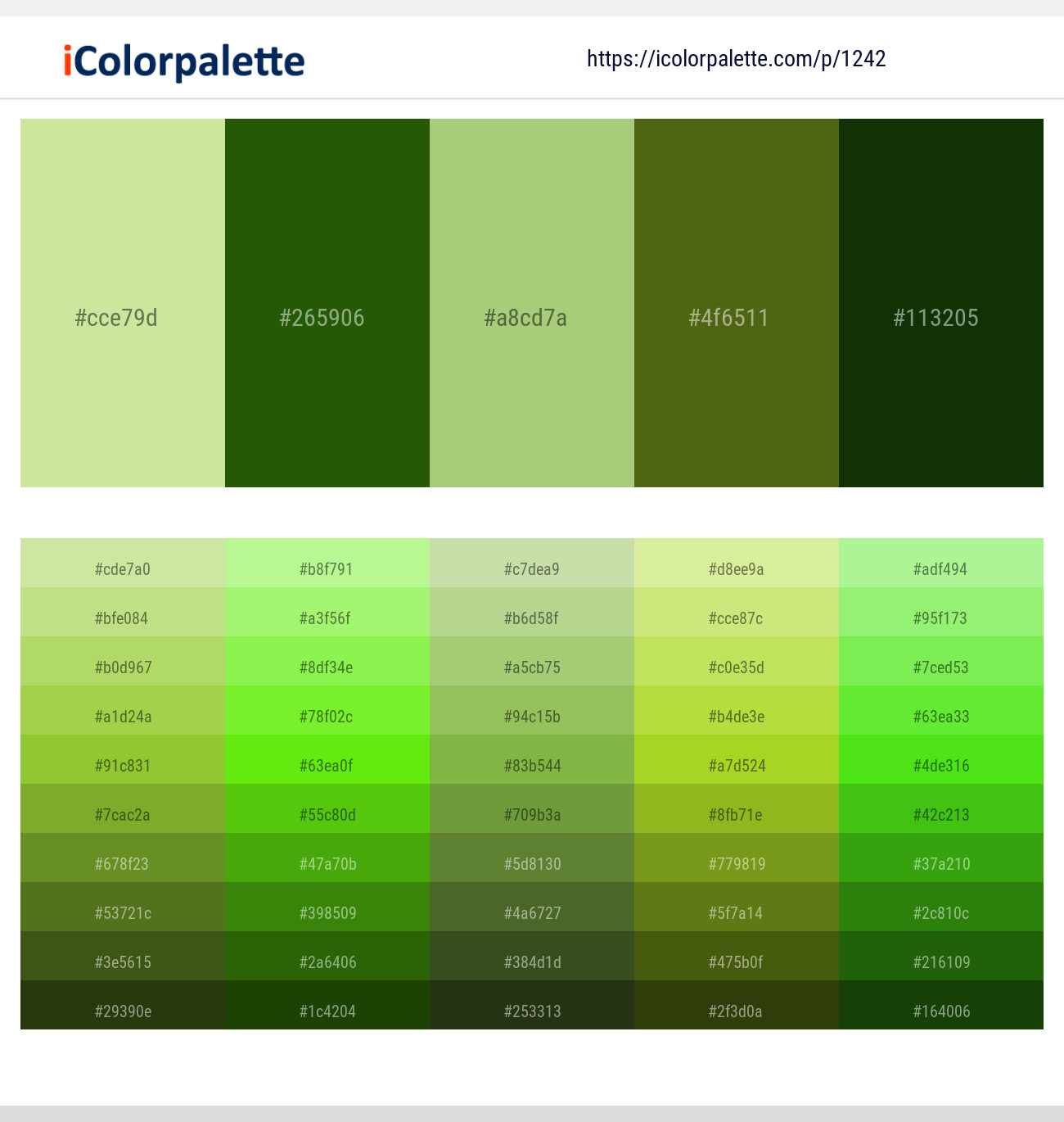 Caper – San Felix – Wild Willow – Saratoga – Pine Tree Color scheme