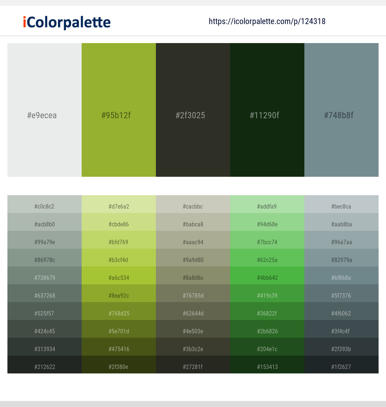 Gray Nurse – Sushi – Rangitoto – Seaweed – Juniper Color scheme