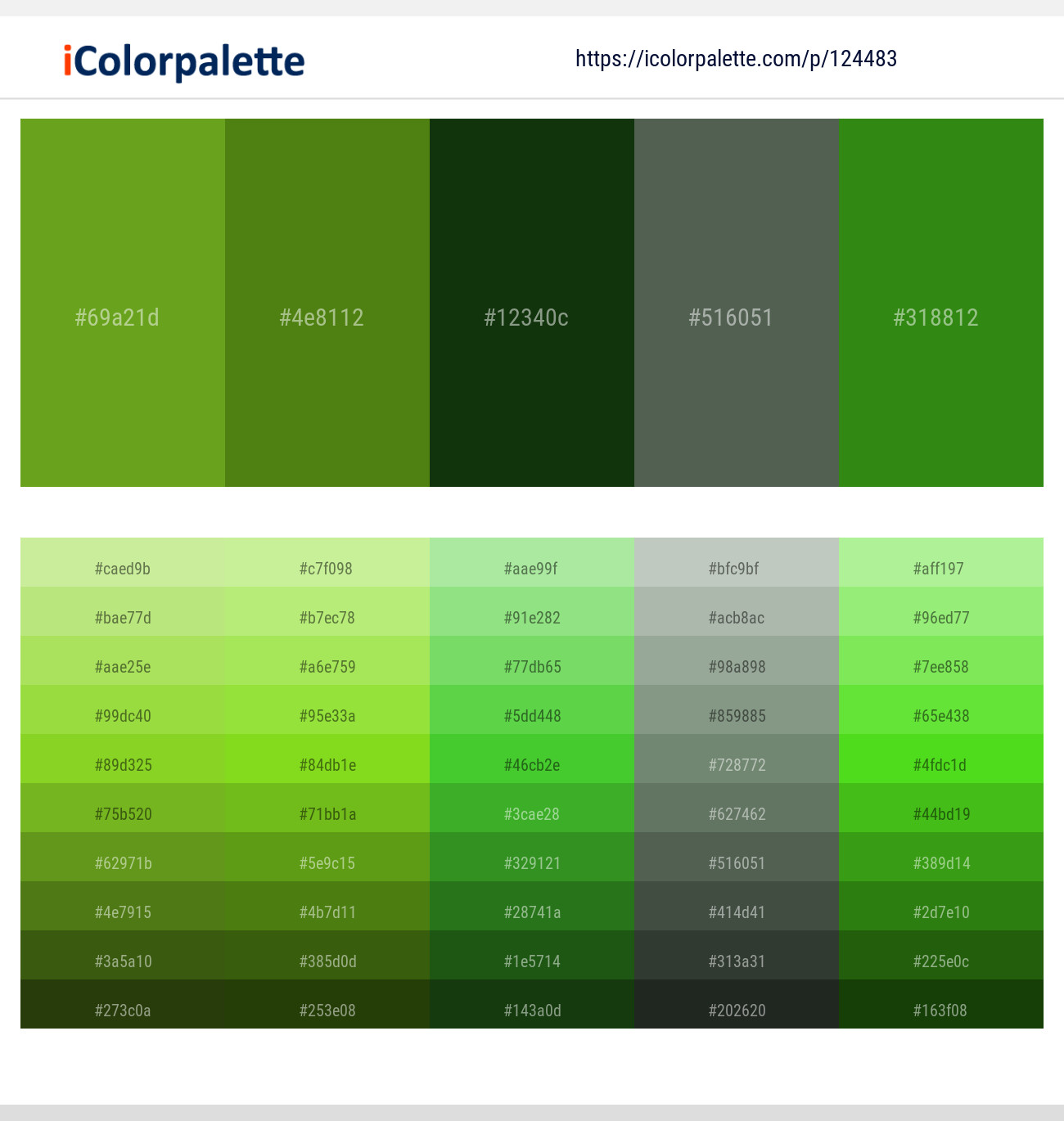 Vida Loca – Vida Loca – Palm Leaf – Finlandia – La Palma Color scheme