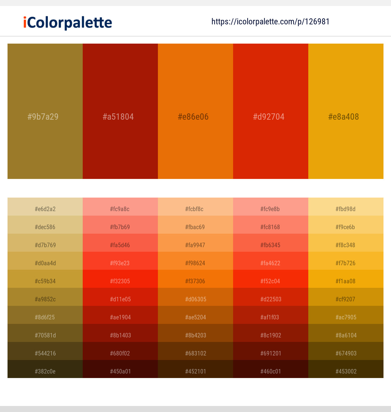 126981Orange Palette Collection