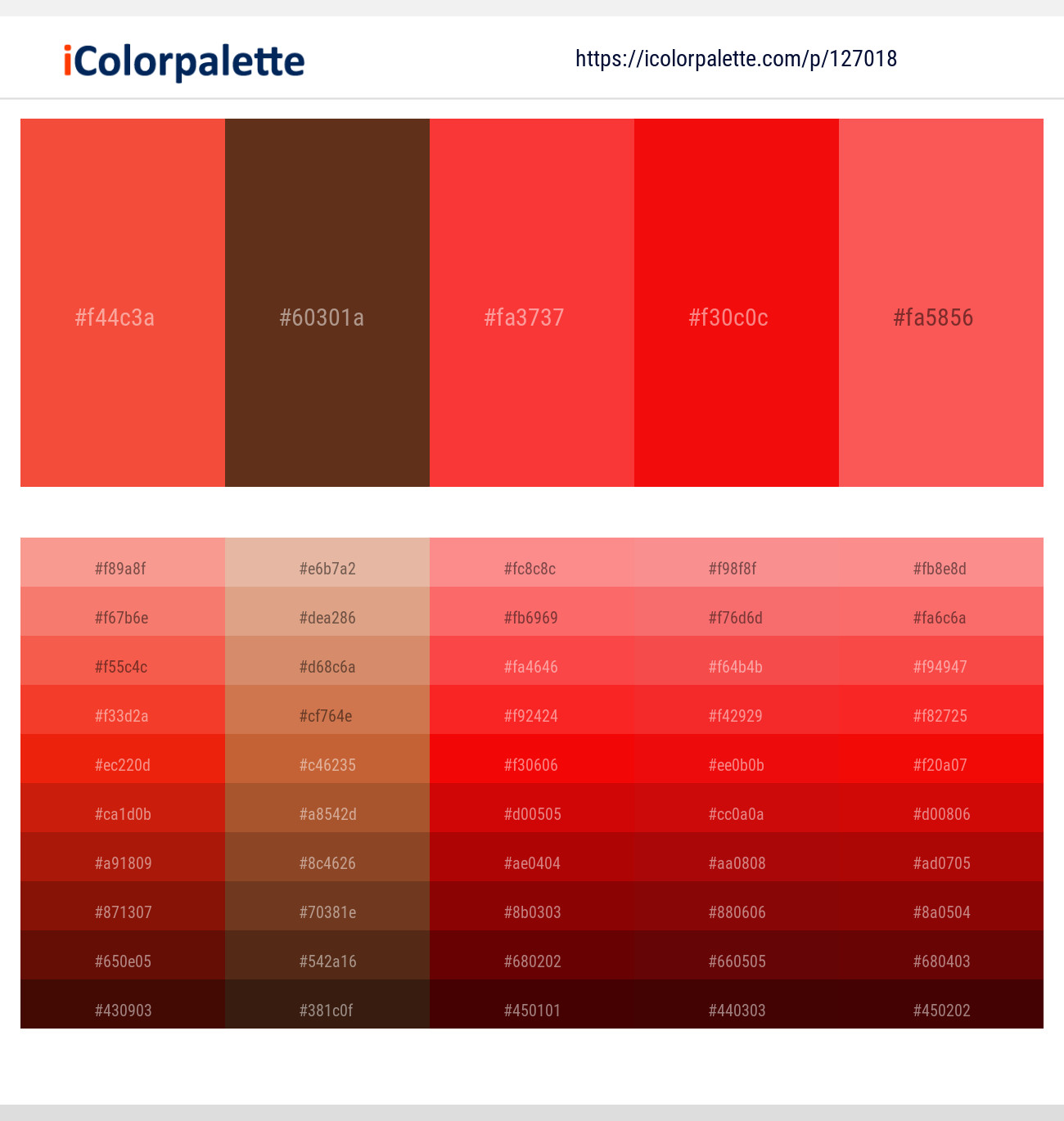 127018Orange Palette Collection