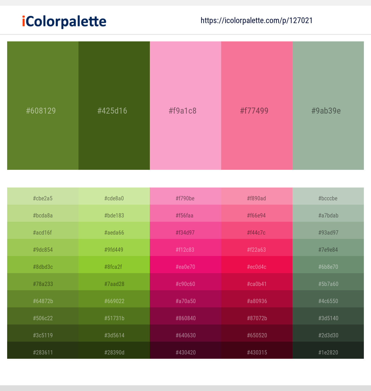 Lift Separate Pink Green Color Palette