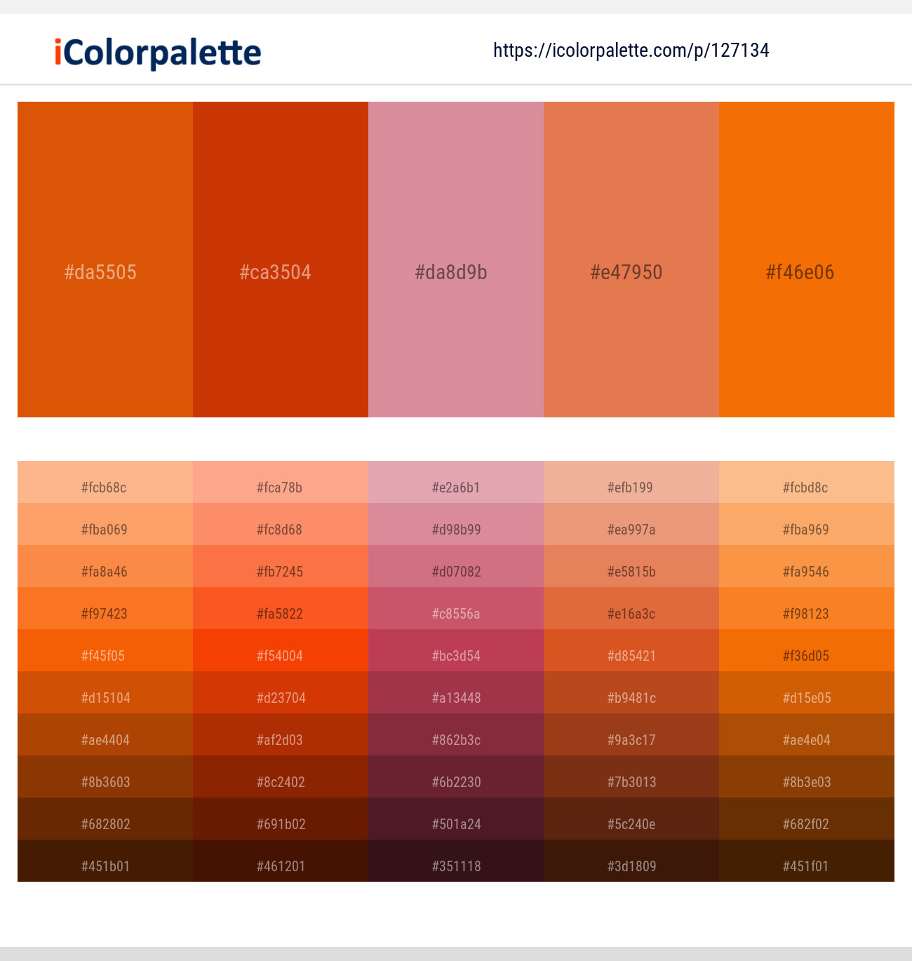 127134Orange Palette Collection