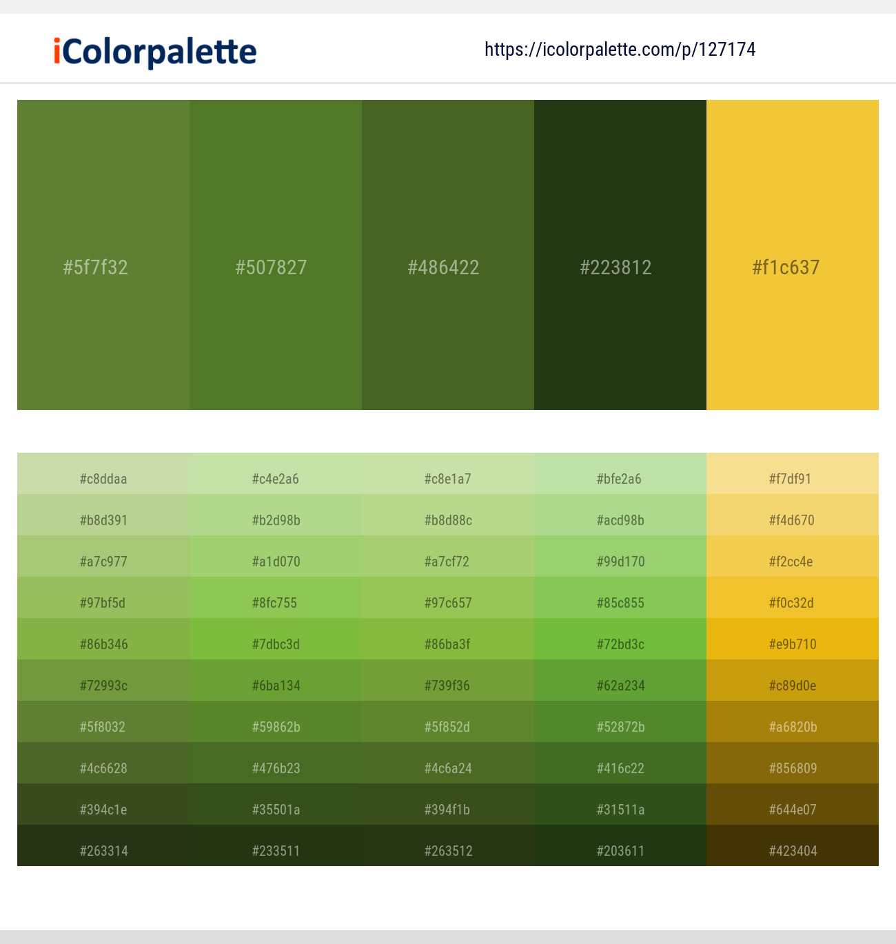 Crete – Fern Frond – Fern Frond – Seaweed – Saffron Color scheme