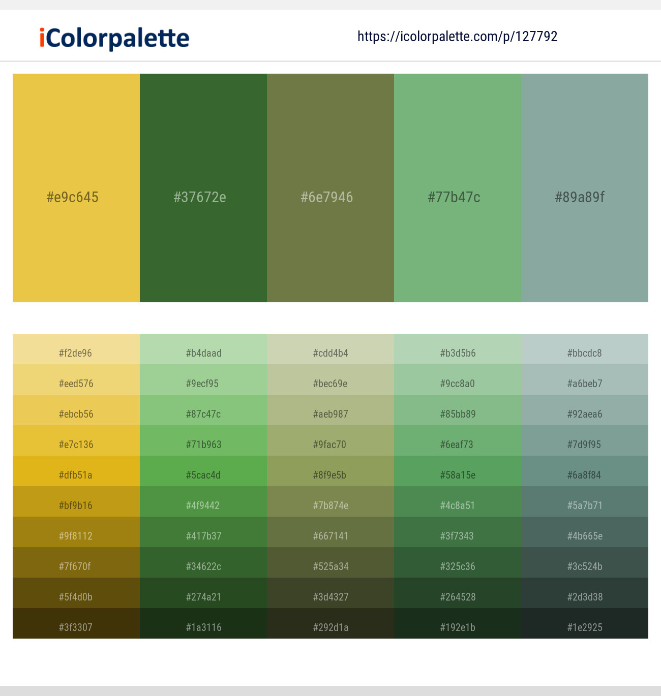Ronchi – Killarney – Dingley – Fern – Cascade Color scheme