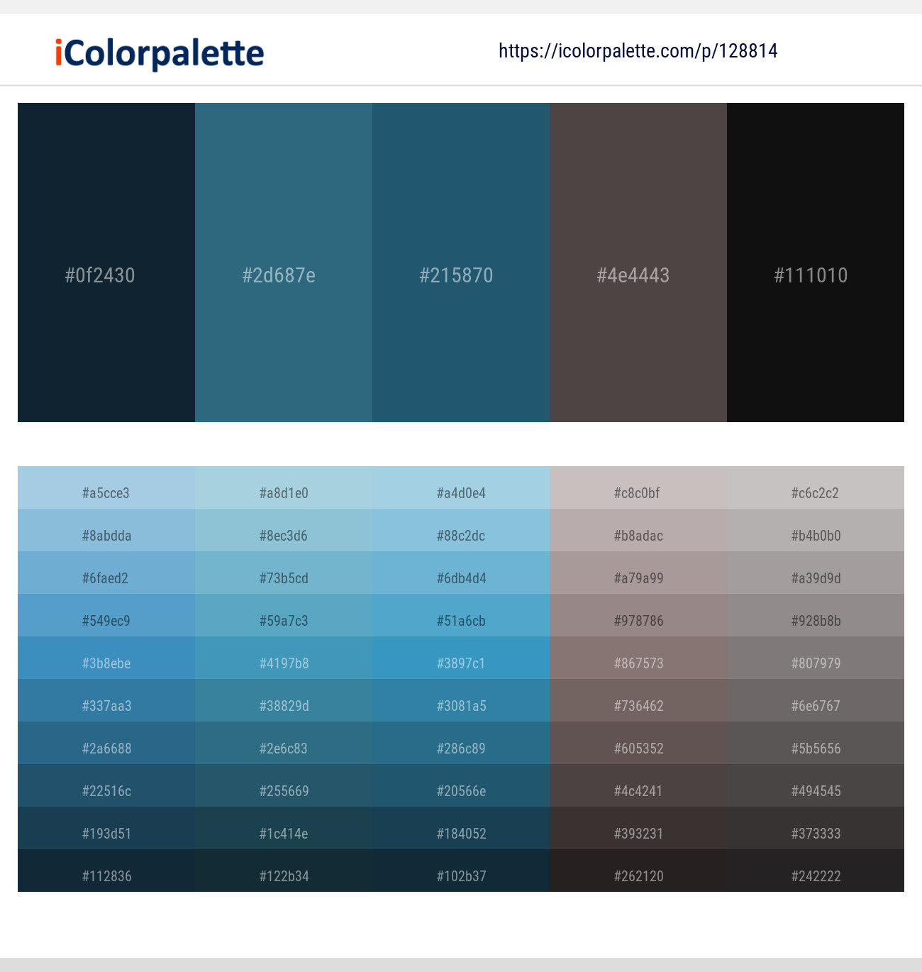 Firefly – Calypso – Astronaut – Tundora – Cod Gray Color scheme