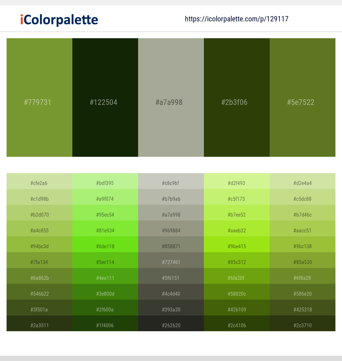 Sushi – Pine Tree – Bud – Pine Tree – Fern Frond Color scheme
