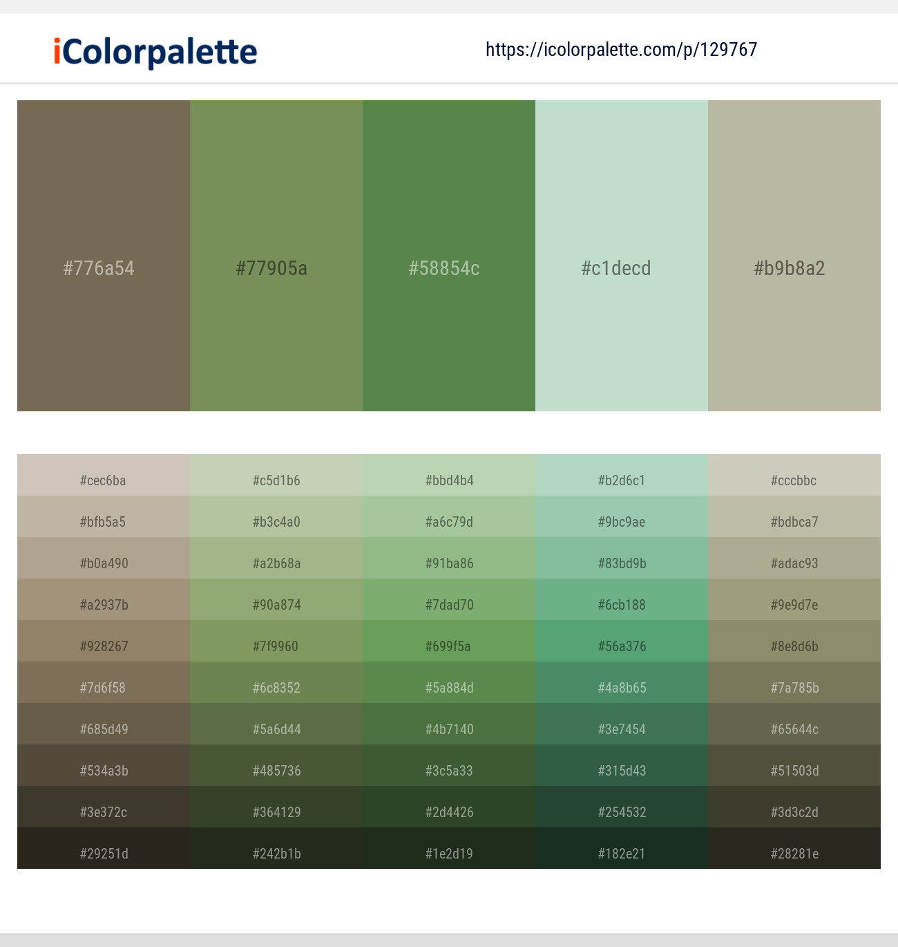 Coffee – Asparagus – Hippie Green – Edgewater – Eagle Color scheme