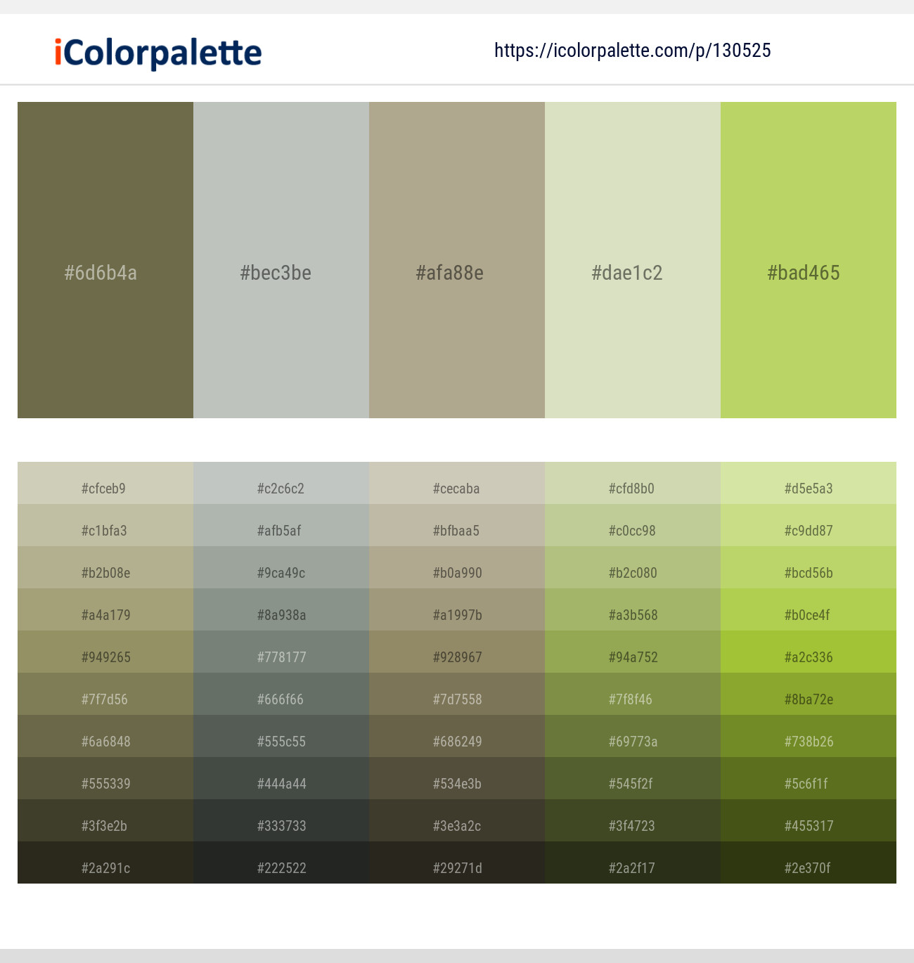 Go Ben – Pumice – Hillary – Tana – Tacha Color scheme