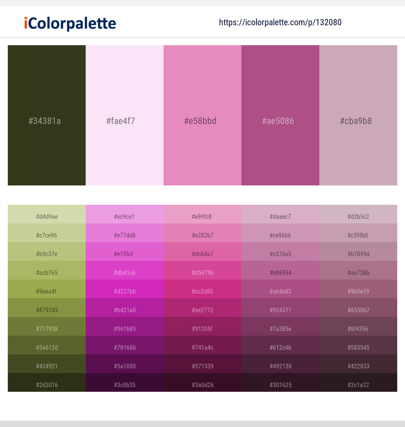 Black Olive – Carousel Pink – Shocking – Tapestry – Lily Color scheme