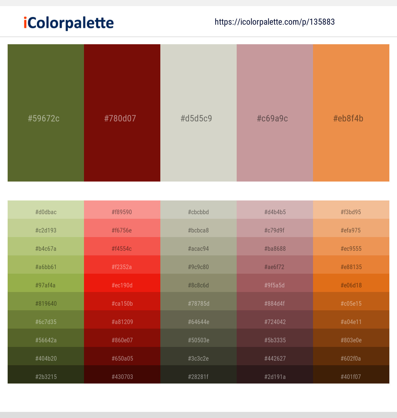 Costa Del Sol – Dark Burgundy – Celeste – Oriental Pink – Jaffa Color scheme