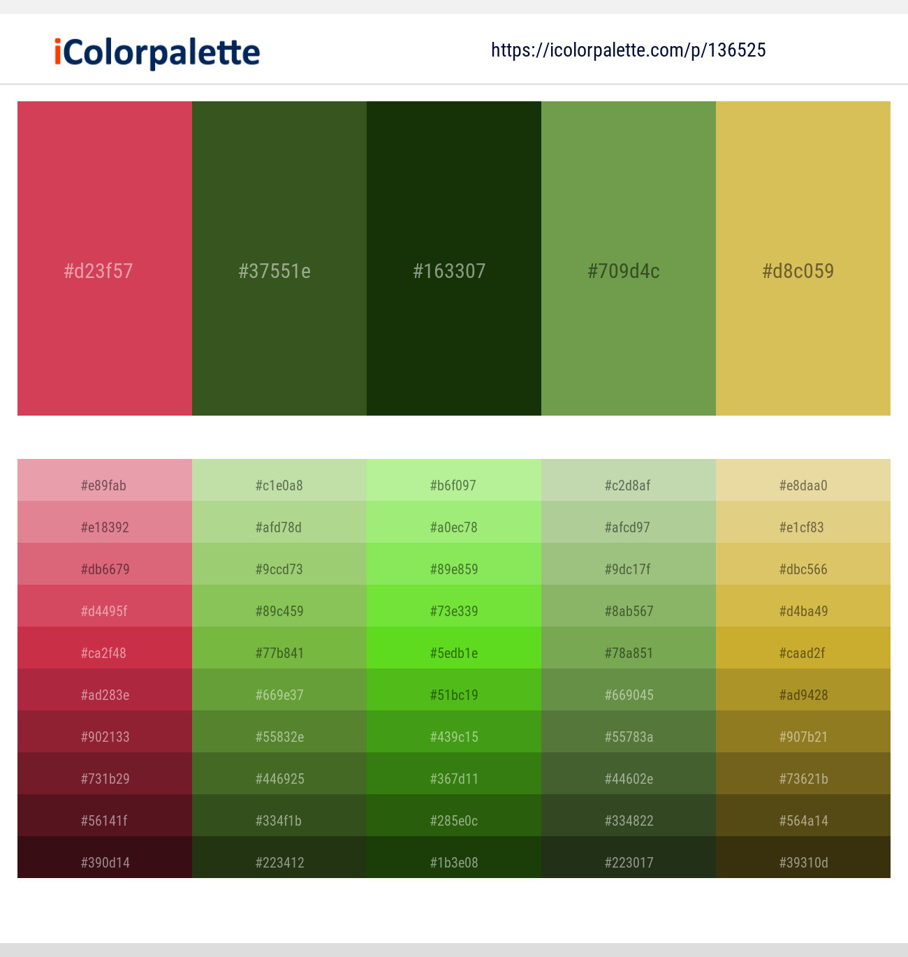 Cabaret – Thatch Green – Pine Tree – Asparagus – Tacha Color scheme