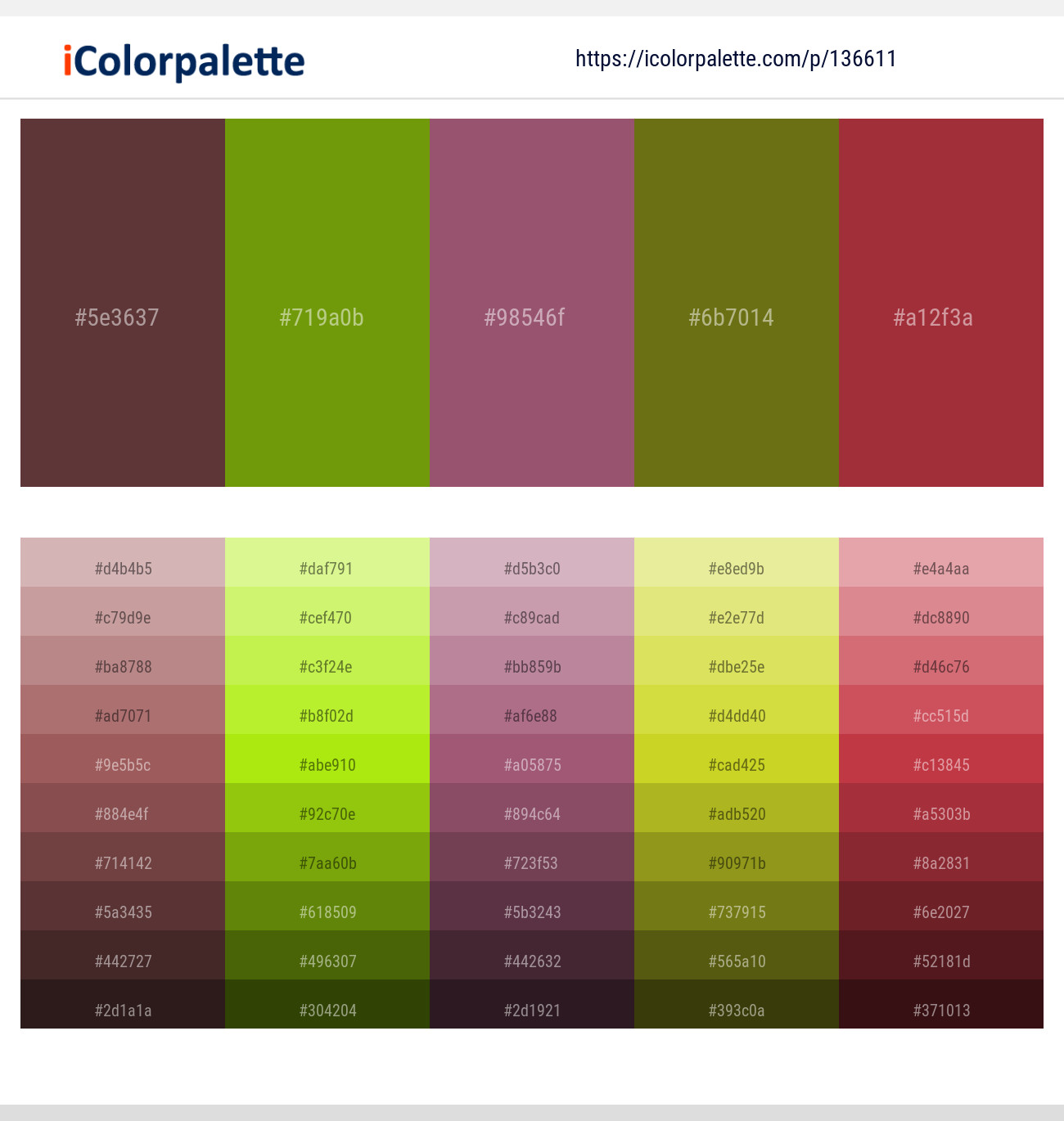 Congo Brown – Christi – Cannon Pink – Olivetone – Stiletto Color scheme
