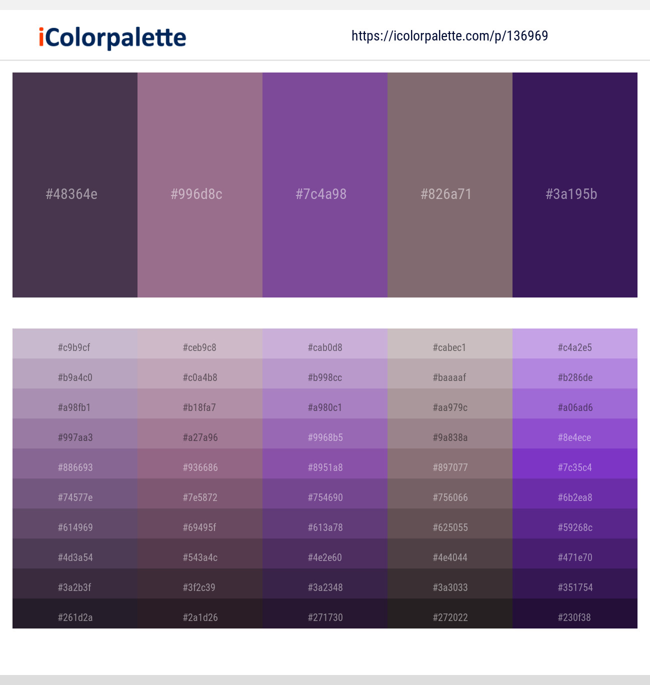 Voodoo – Strikemaster – Affair – Spicy Pink – Grape Color scheme