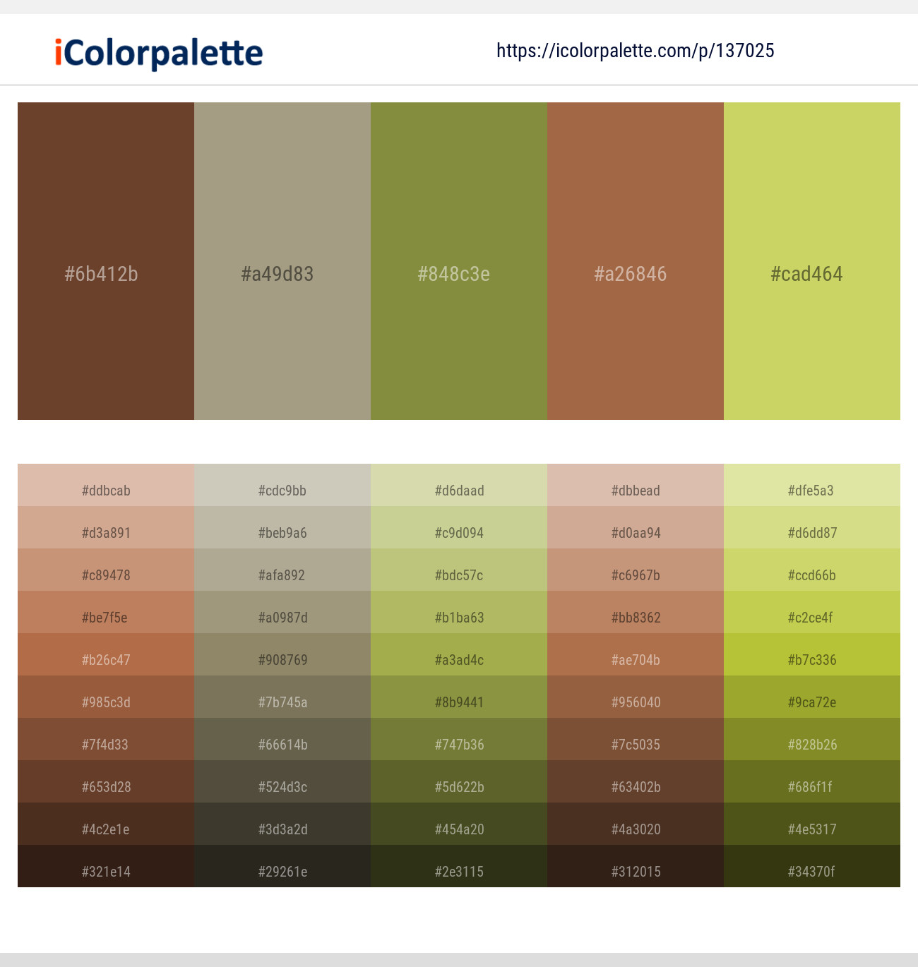 Spice – Tallow – Sycamore – Cape Palliser – Tacha Color scheme