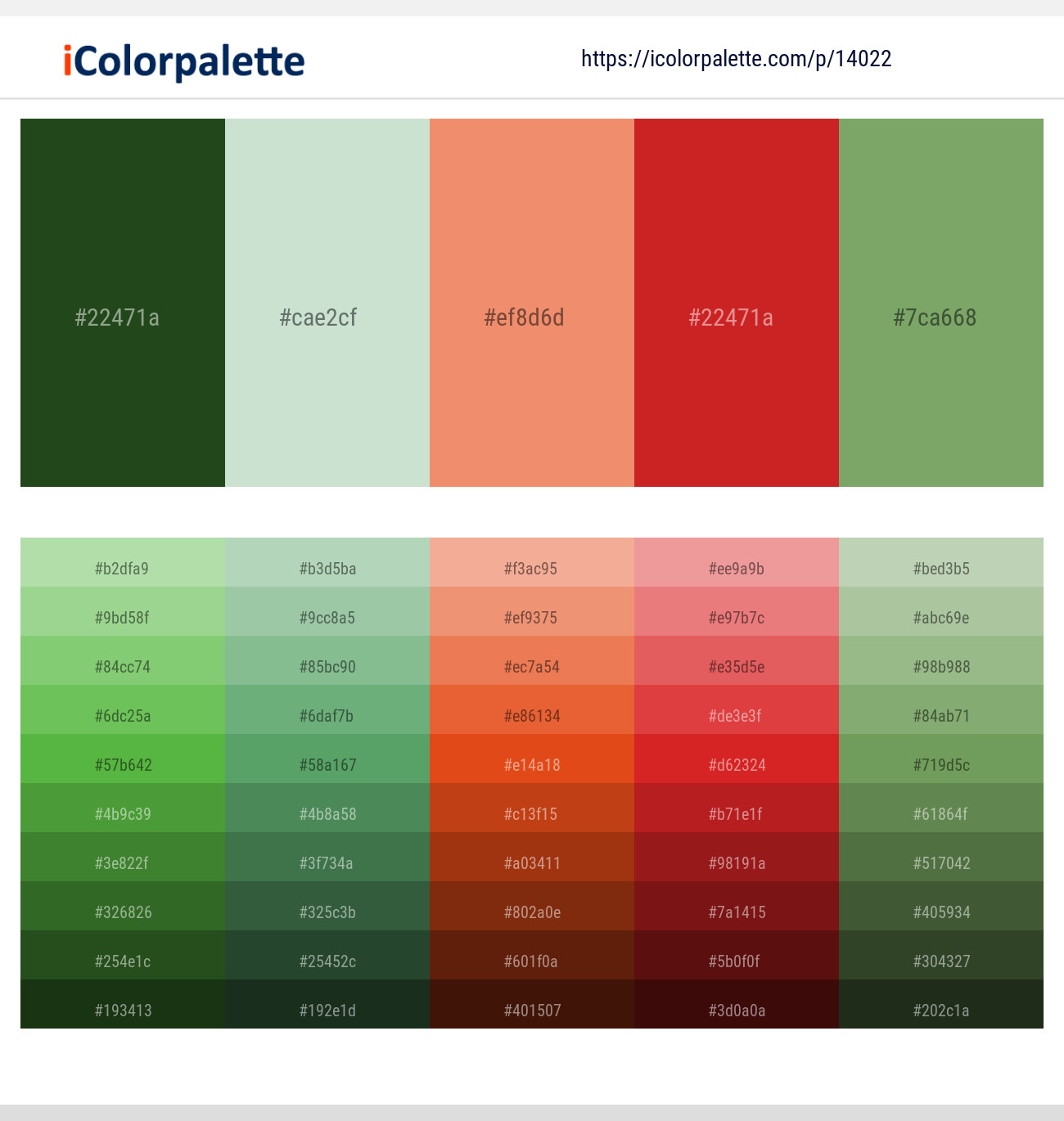 Seaweed – Surf Crest – Apricot – Cardinal – Asparagus Color scheme