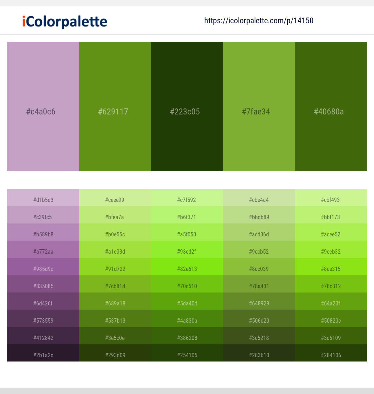 London Hue – Vida Loca – Pine Tree – Sushi – Green Leaf Color scheme