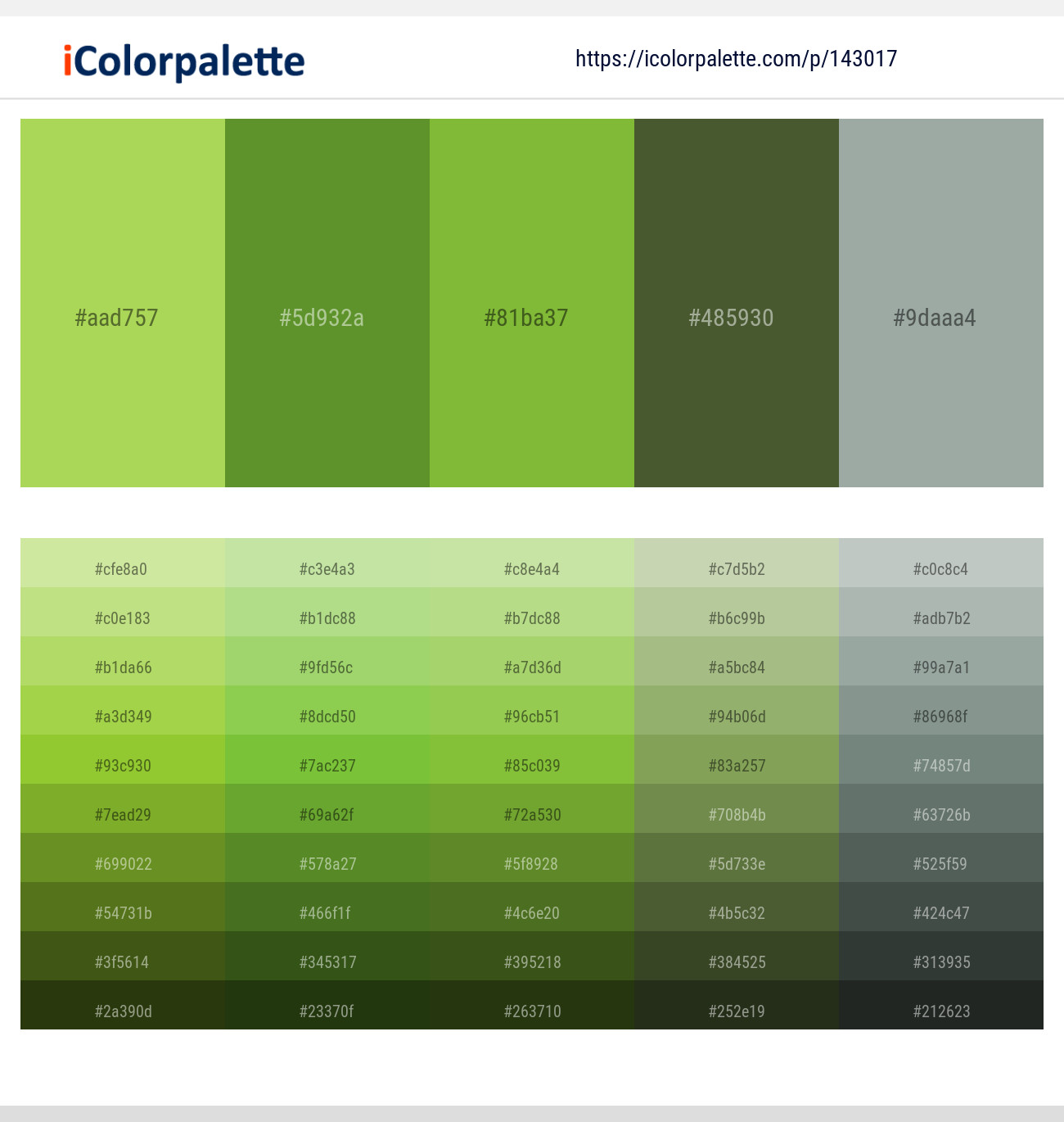 Conifer – Olive Drab – Sushi – Woodland – Pewter Color scheme