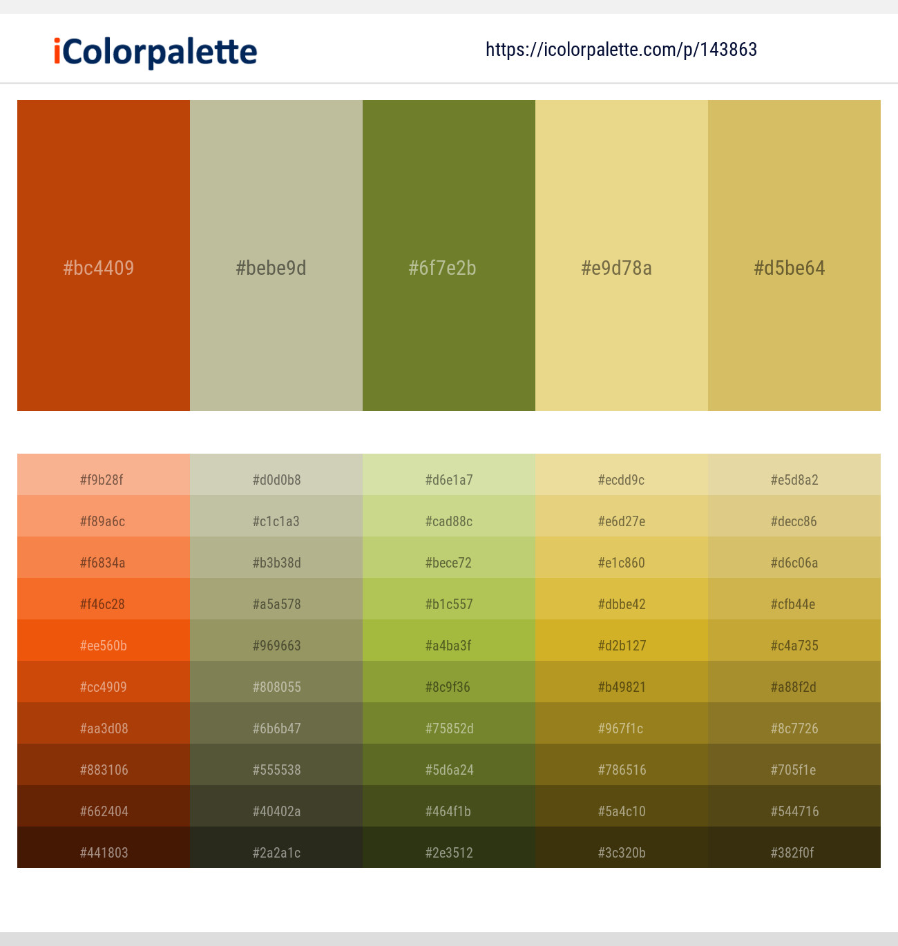 Rock Spray – Bison Hide – Crete – Putty – Tacha Color scheme