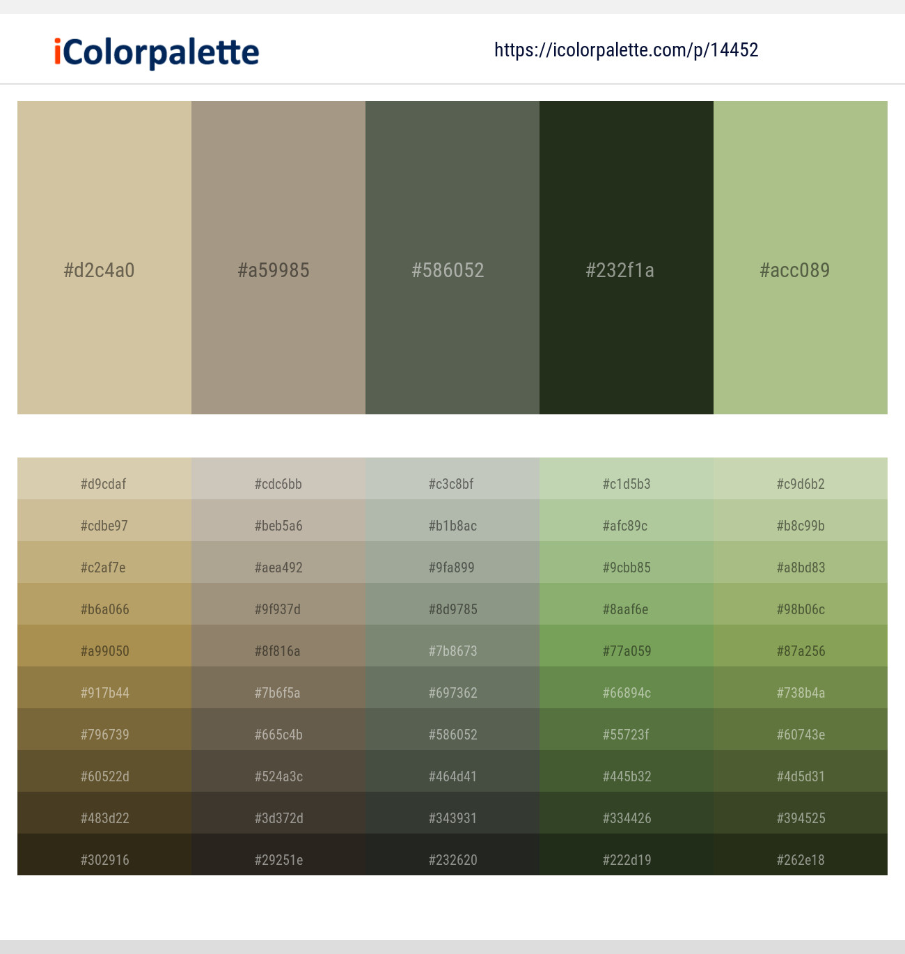 Akaroa – Tallow – Siam – Green Kelp – Swamp Green Color scheme