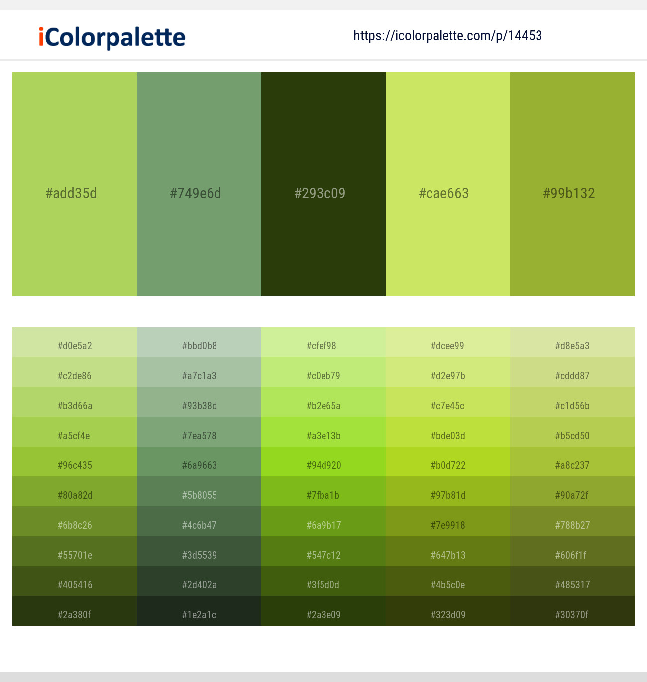 Conifer – Highland – Turtle Green – Yellow Green – Sushi Color scheme