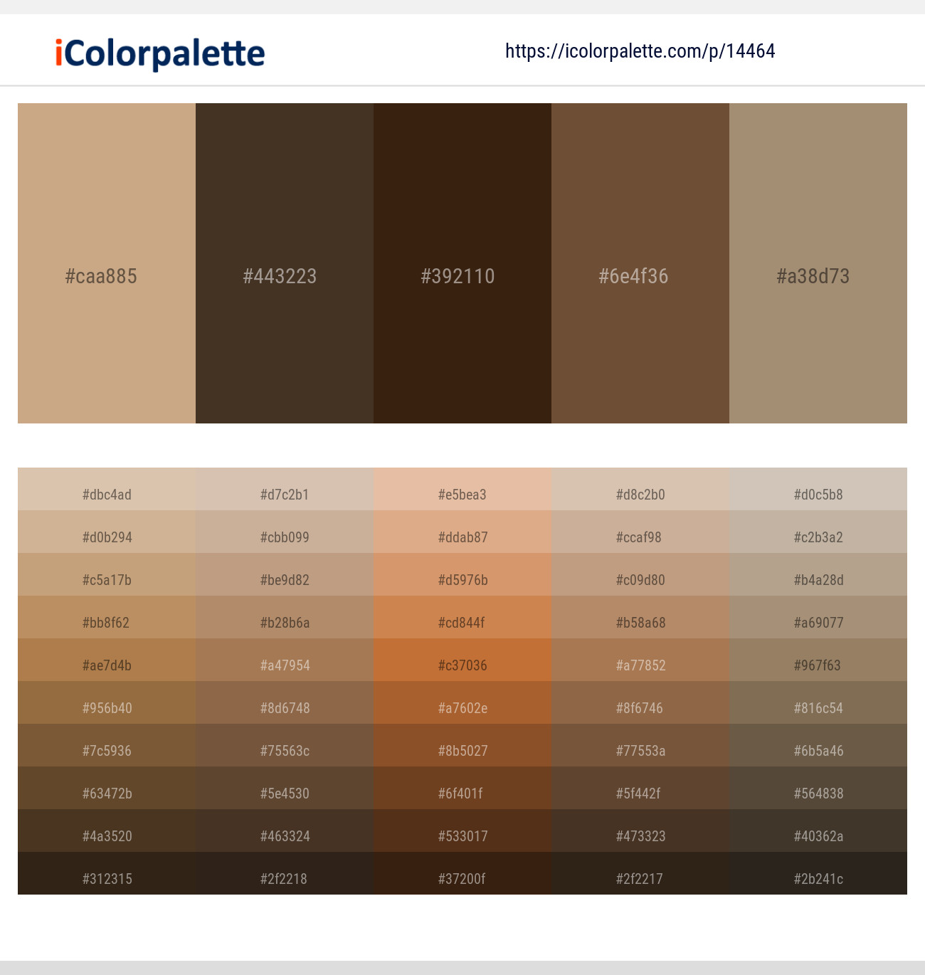 Sorrell Brown – Iroko – Sambuca – Shingle Fawn – Donkey Brown Color scheme