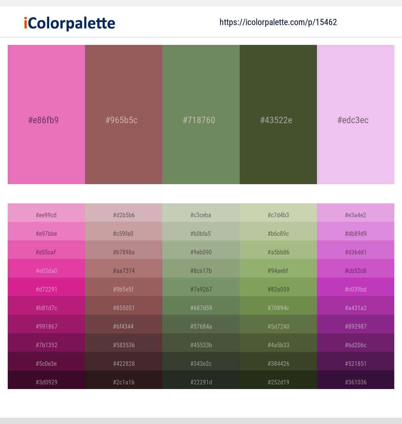 Carissma – Au Chico – Highland – Woodland – Vanilla Ice Color scheme