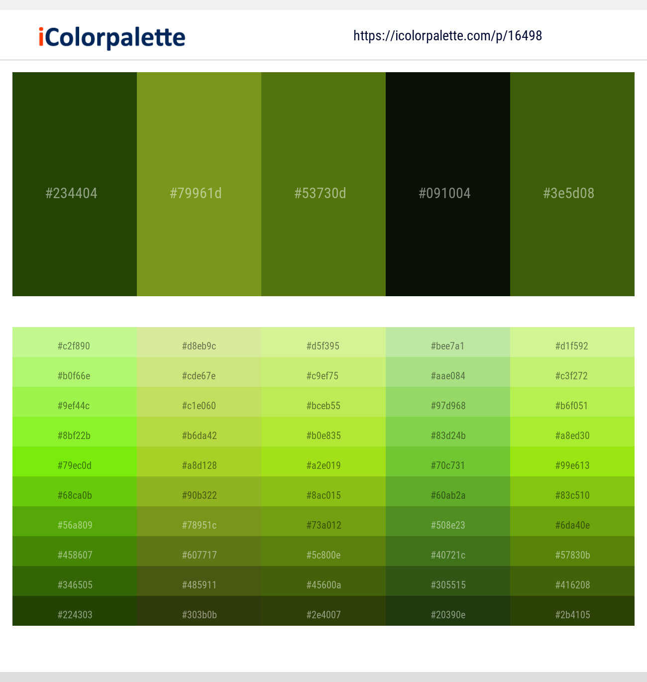 San Felix – Trendy Green – Green Leaf – Black Forest – Green Leaf Color scheme