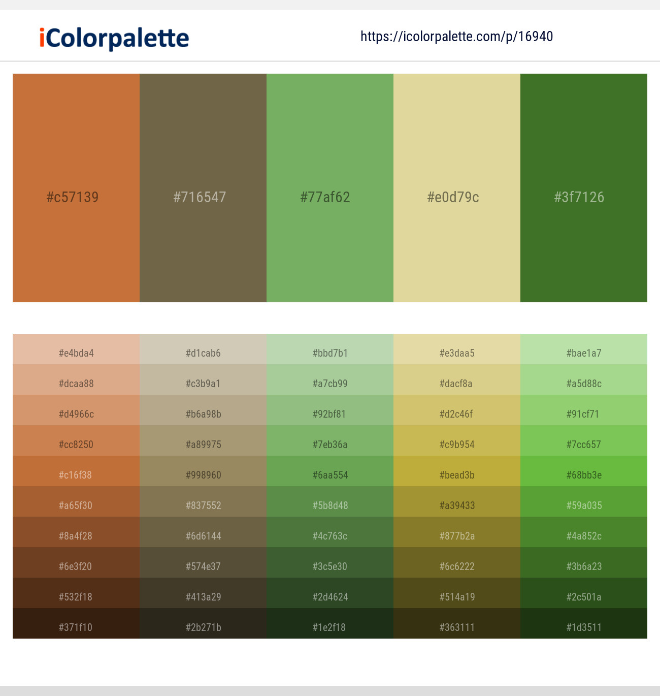 Copper – Tobacco Brown – Chelsea Cucumber – Zombie – Fern Frond Color scheme