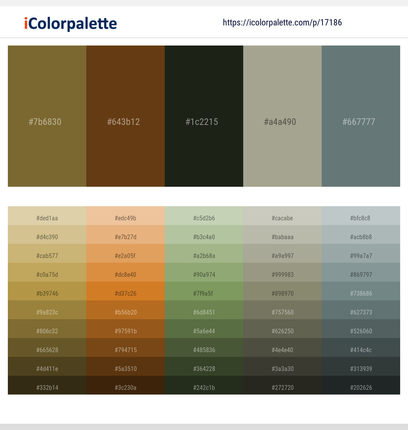 Pesto – Sepia – Rangoon Green – Gray Olive – Sirocco Color scheme